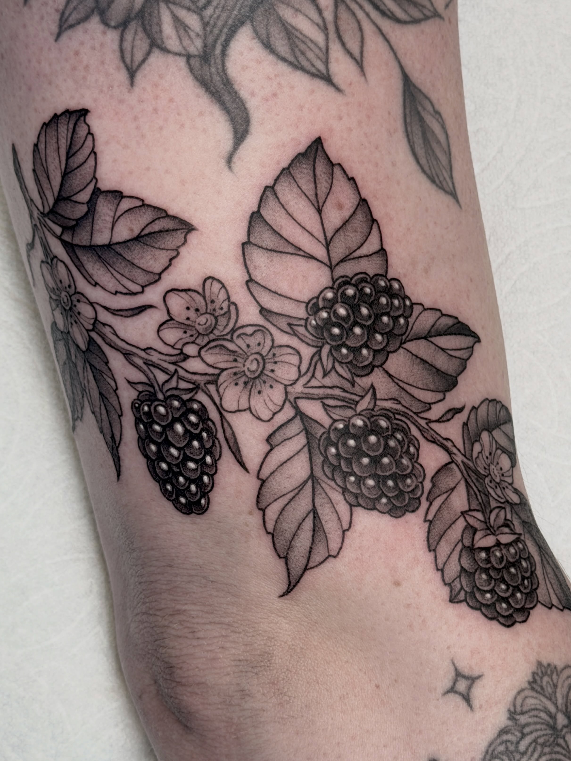 Blackberry branch black and grey tattoo on the forearm by Hannah May, La Mesa, California