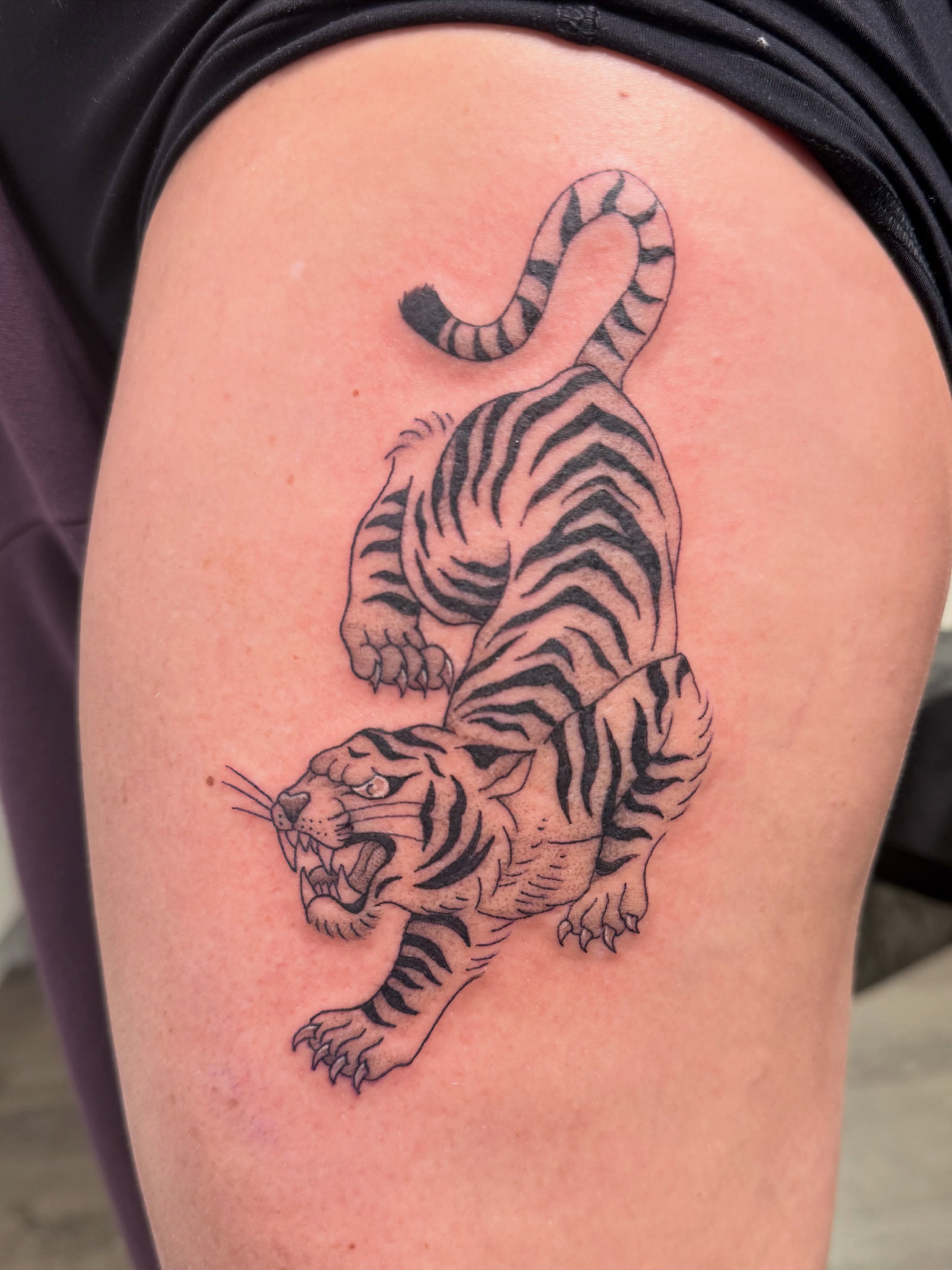 Tiger black and grey tattoo on the thigh by Alexx Colombo