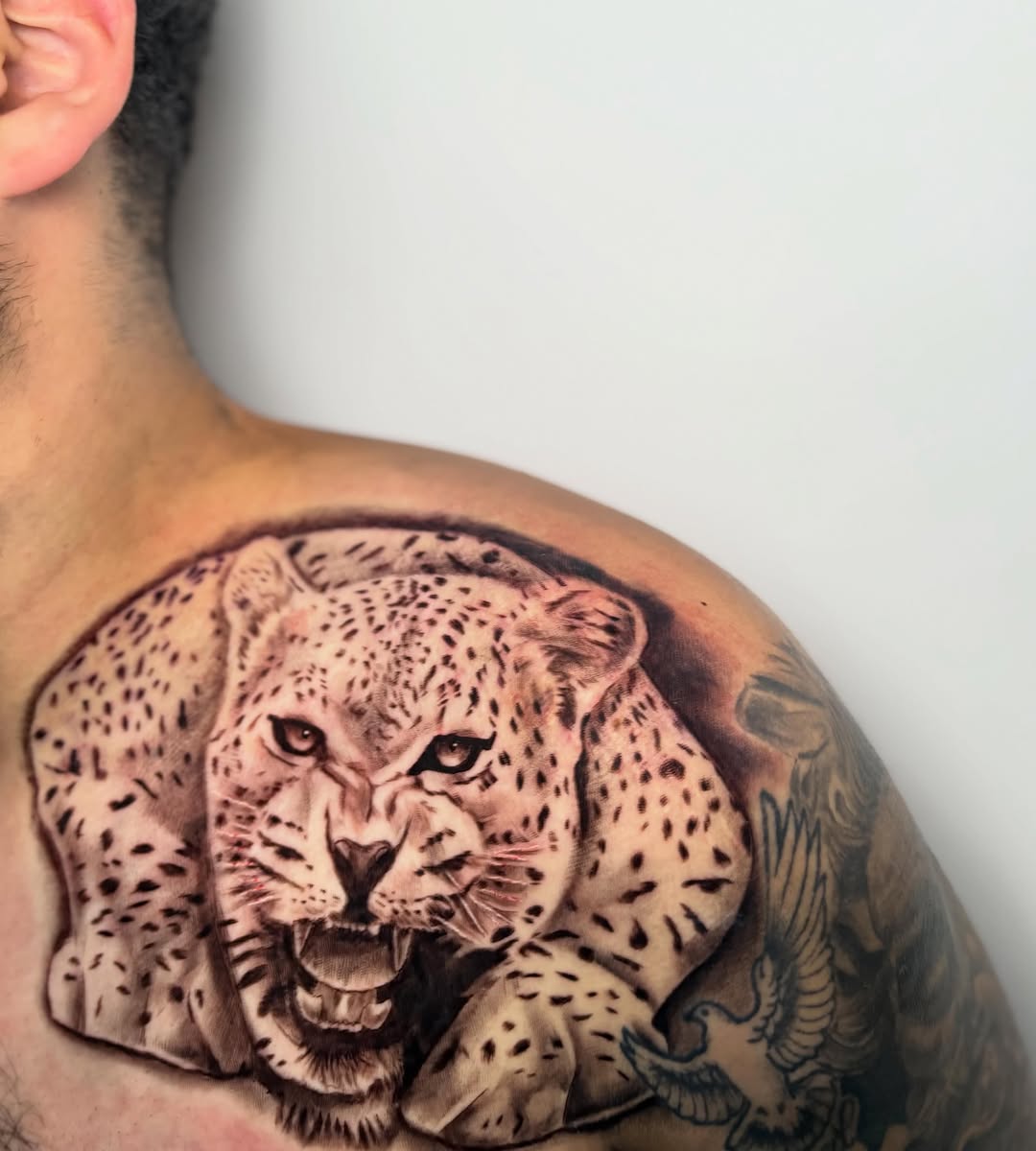 Leopard head realism tattoo on the shoulder by Koolz