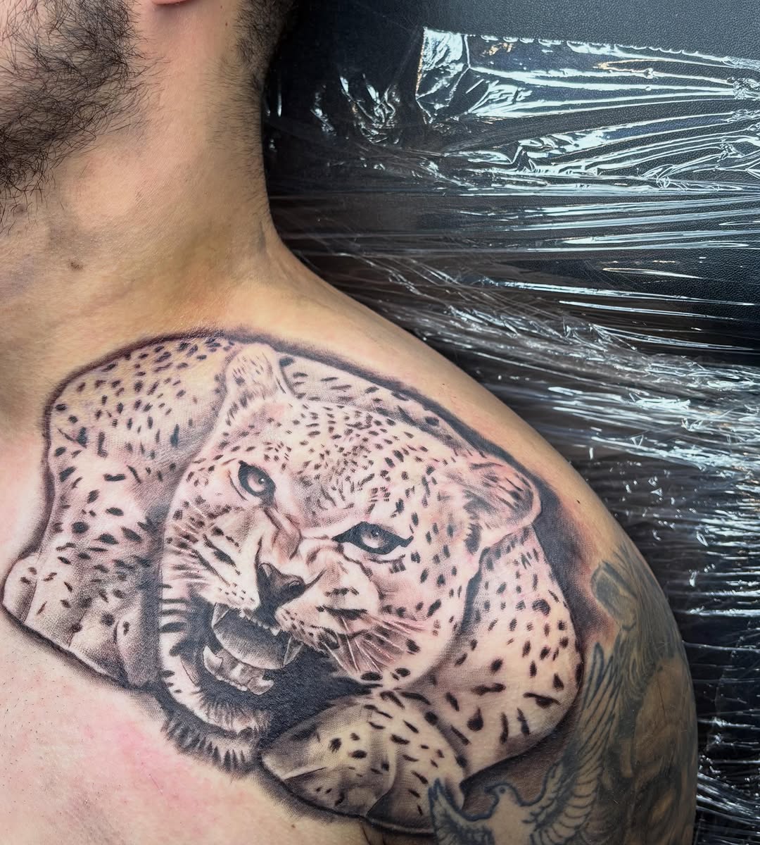 Leopard portrait realism tattoo on the shoulder by Koolz