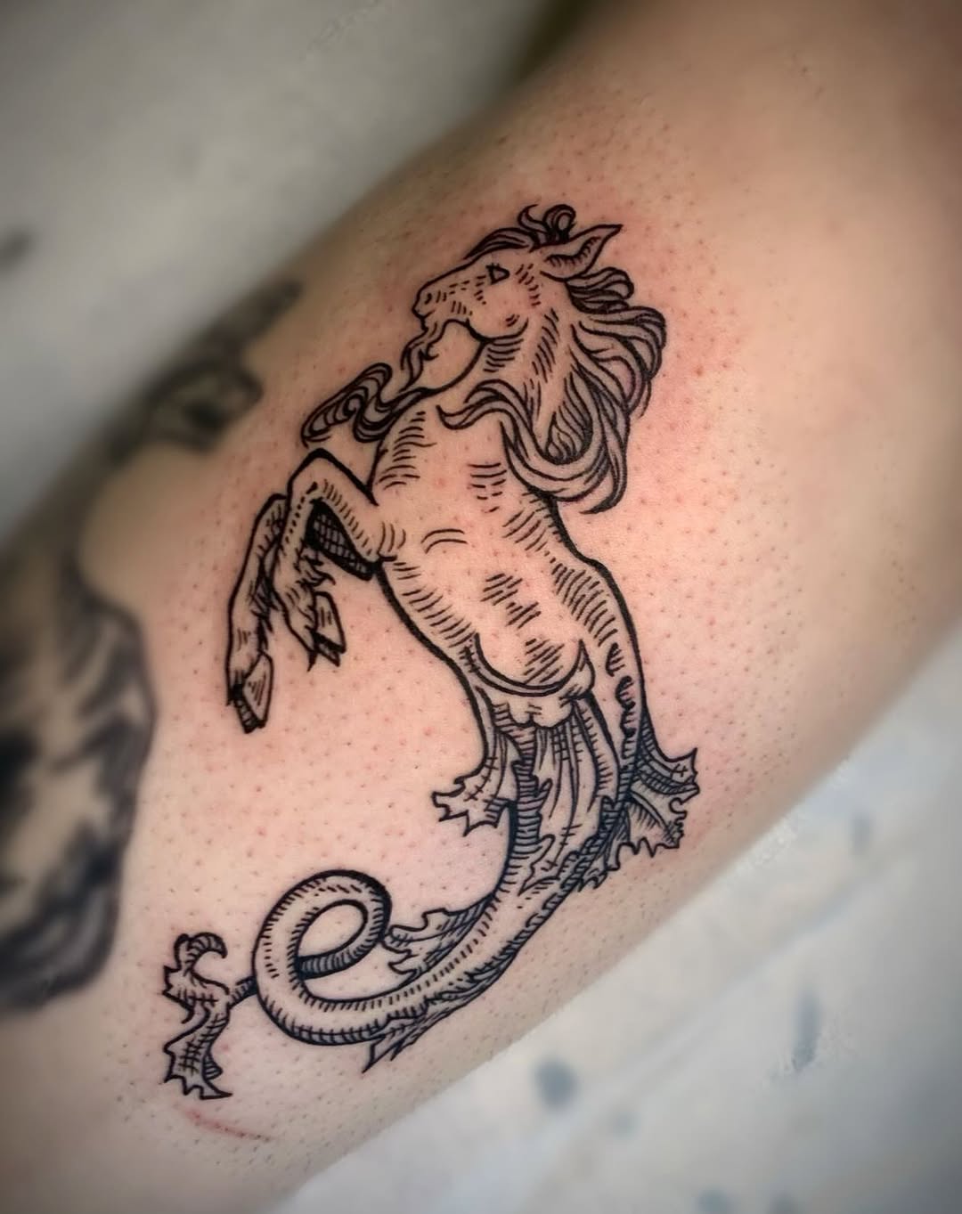 Hippocampus sketch tattoo on the forearm by Ava Glory Tattoos