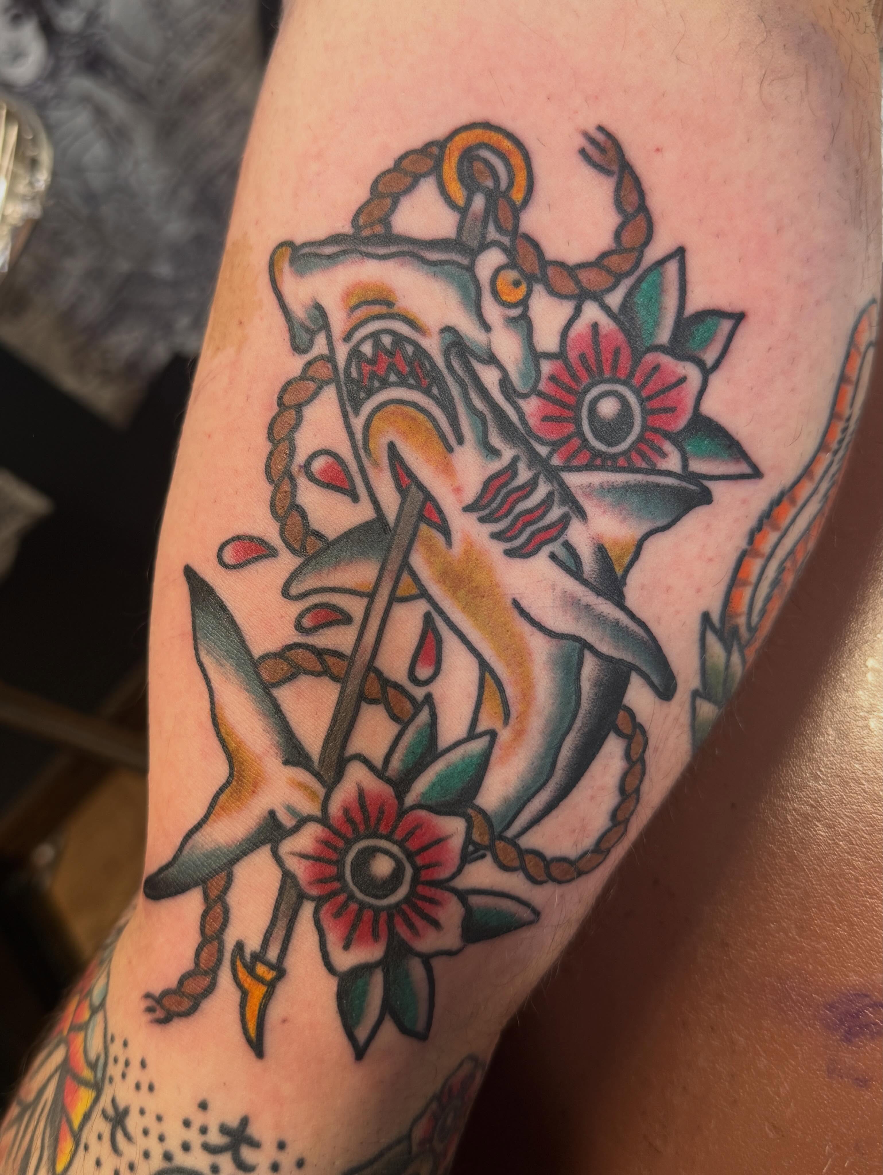 Shark and anchor American traditional tattoo on the forearm by Ryan Moraski, Colorado Springs, Colorado