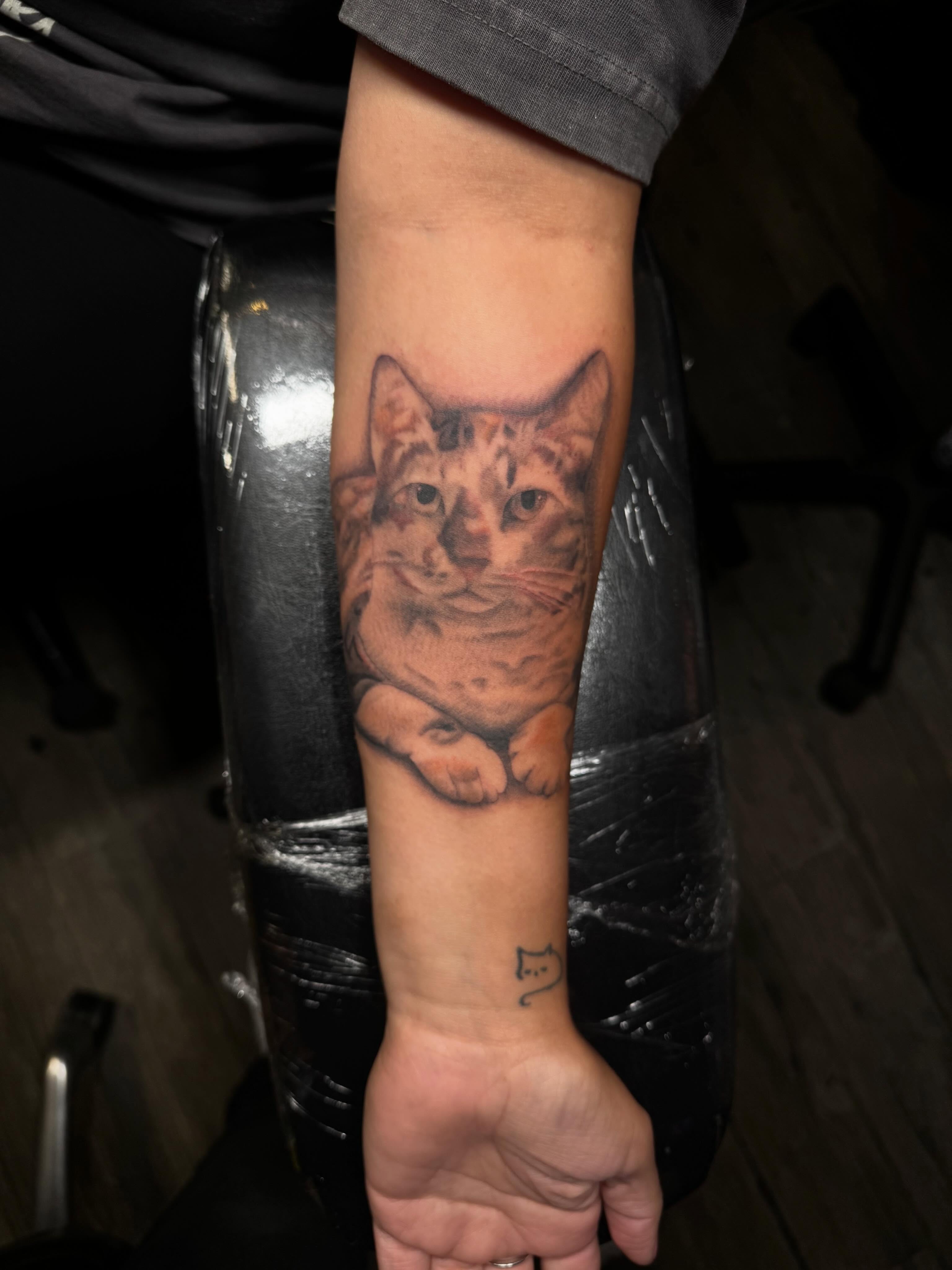 Cat realism tattoo on the forearm by πΎππππππππ