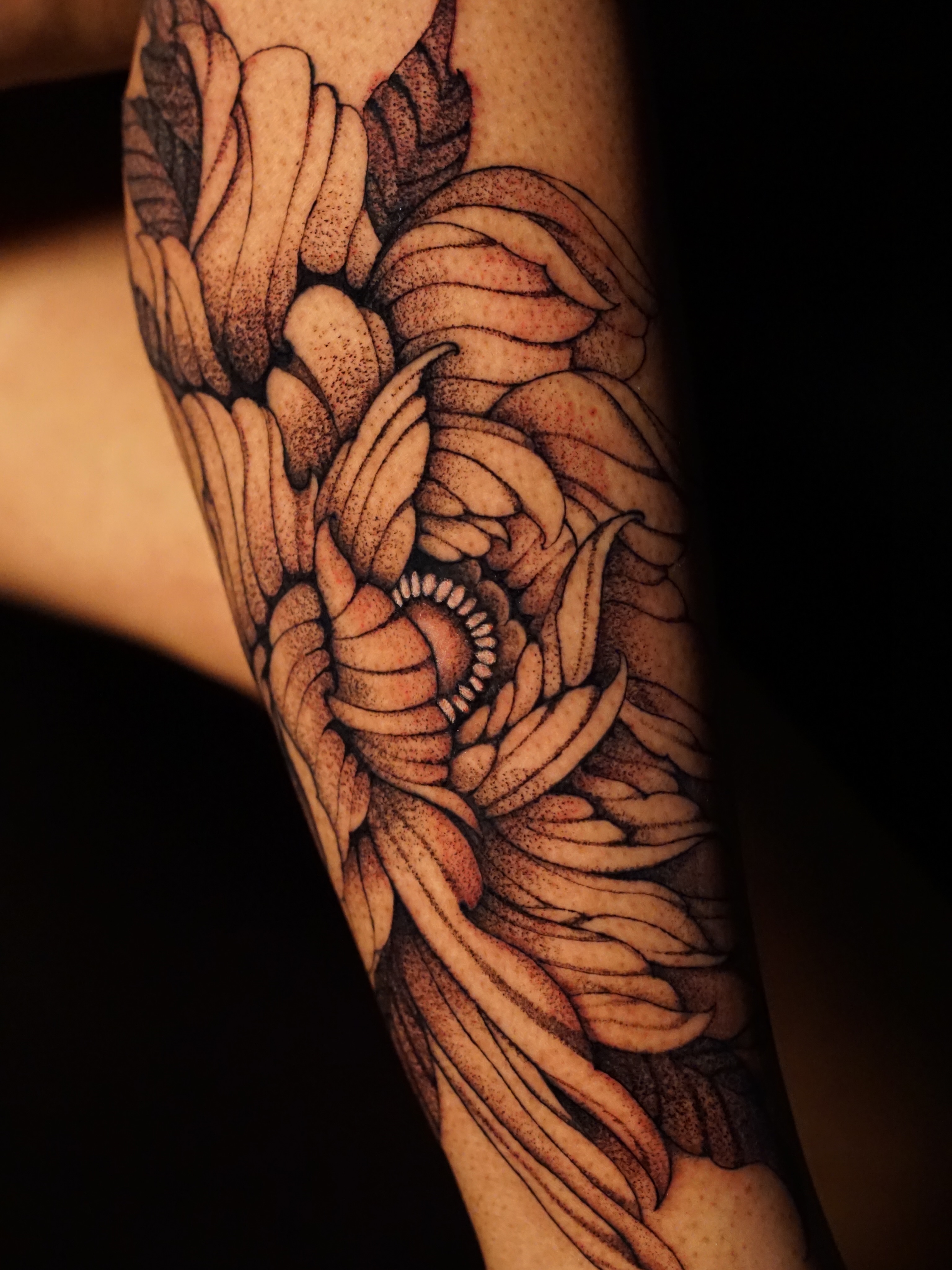 Tattoo by @cee.destined β dotwork, black_and_grey