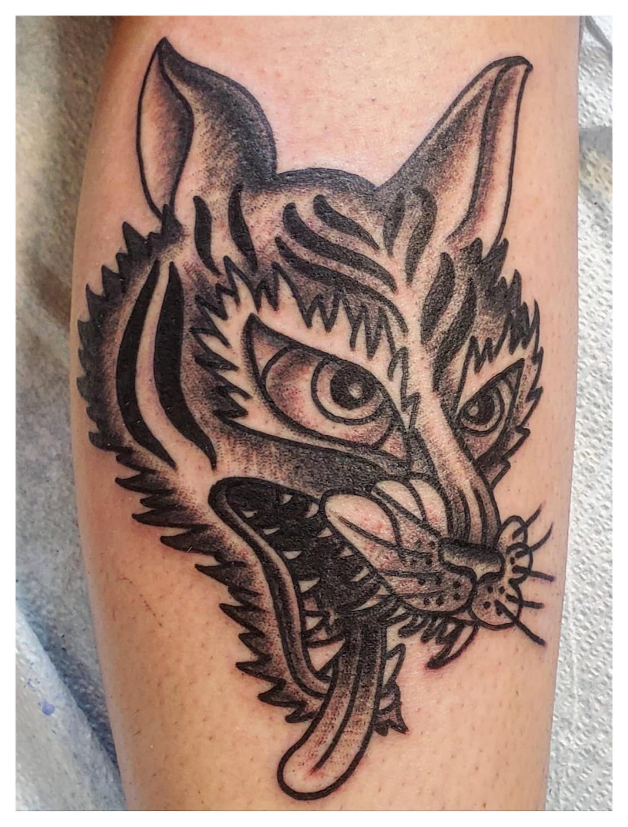 Cat American traditional tattoo on the forearm by joe martinez, Denver, Colorado