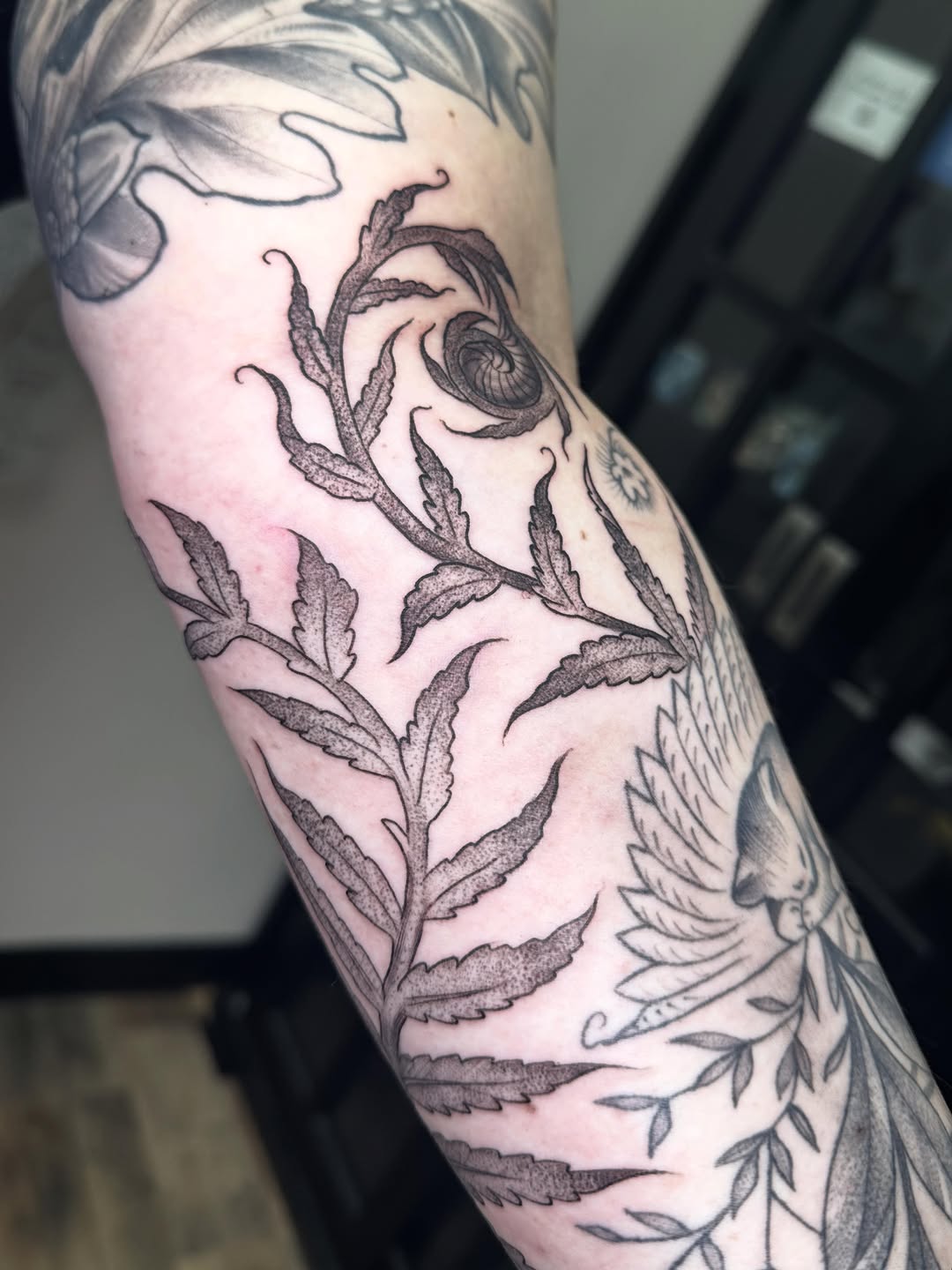Tattoo by @hcierritattoosdanvers โ black_and_grey, dotwork