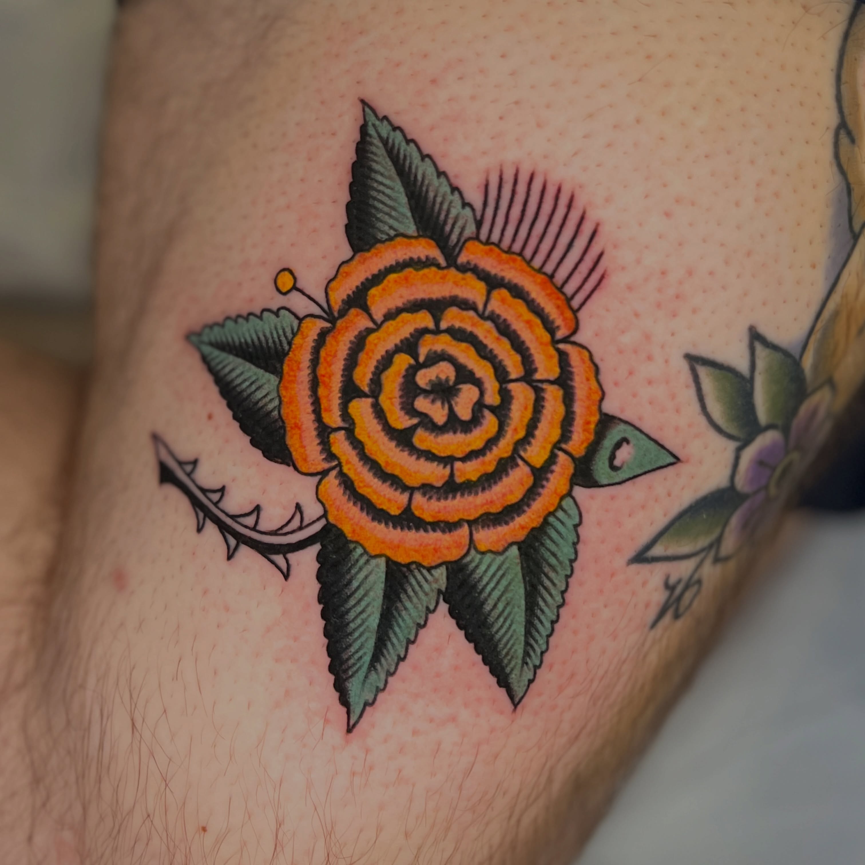 Orange rose American traditional tattoo on the forearm by Andrew Storm