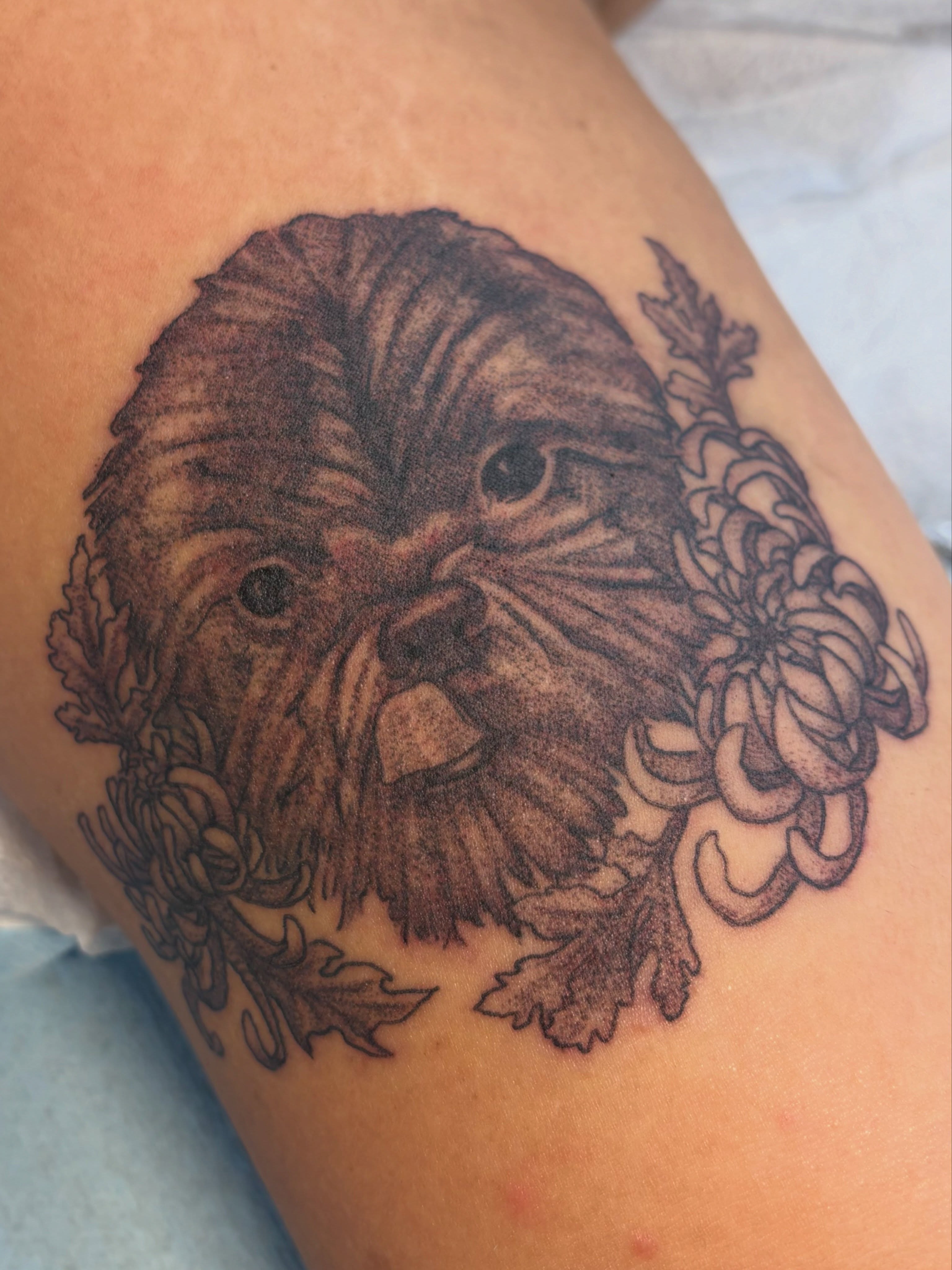 Tattoo by @bobibeanz — realism