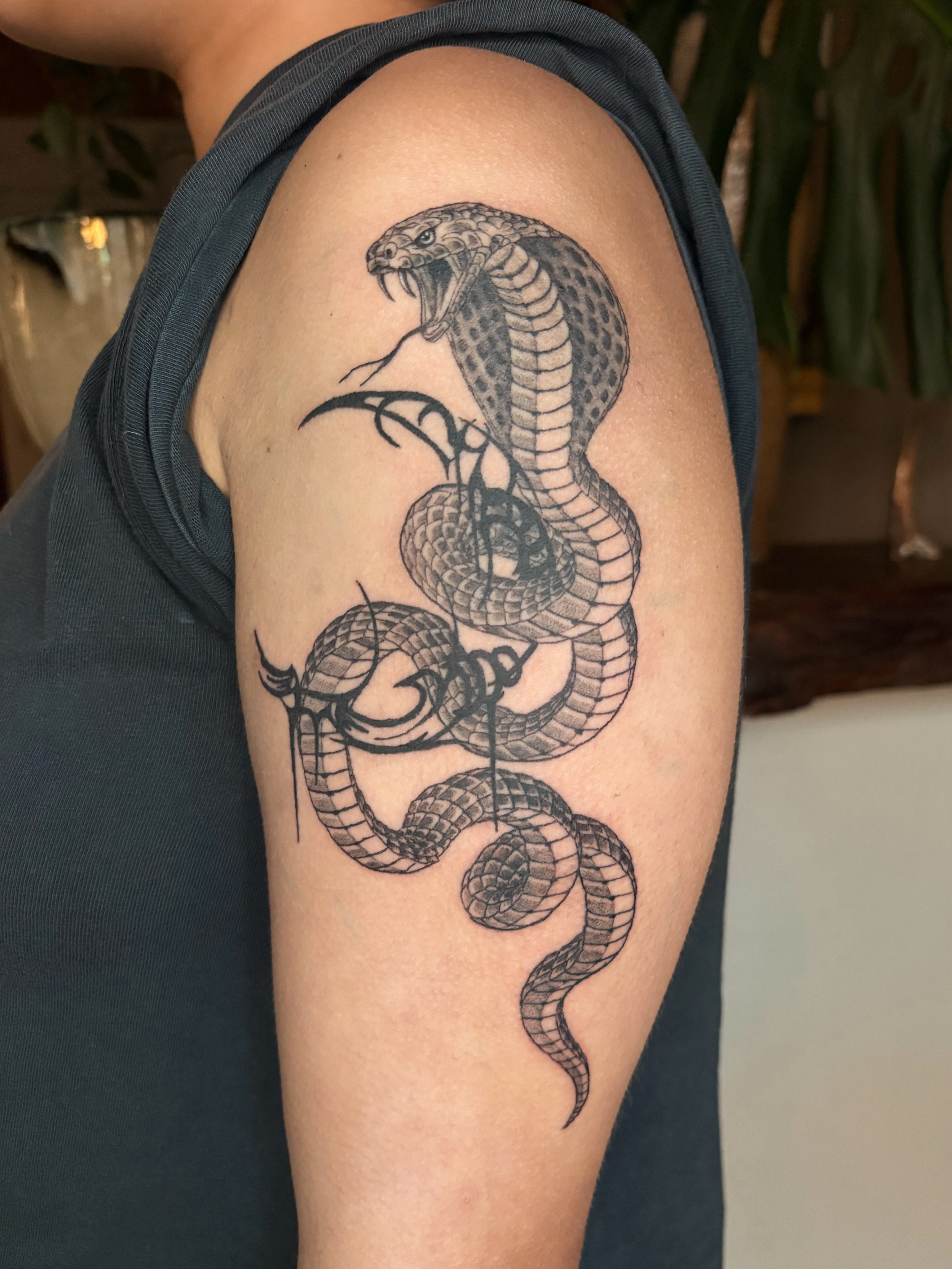 Snake black and grey tattoo on the shoulder by Abigail, San Francisco, California