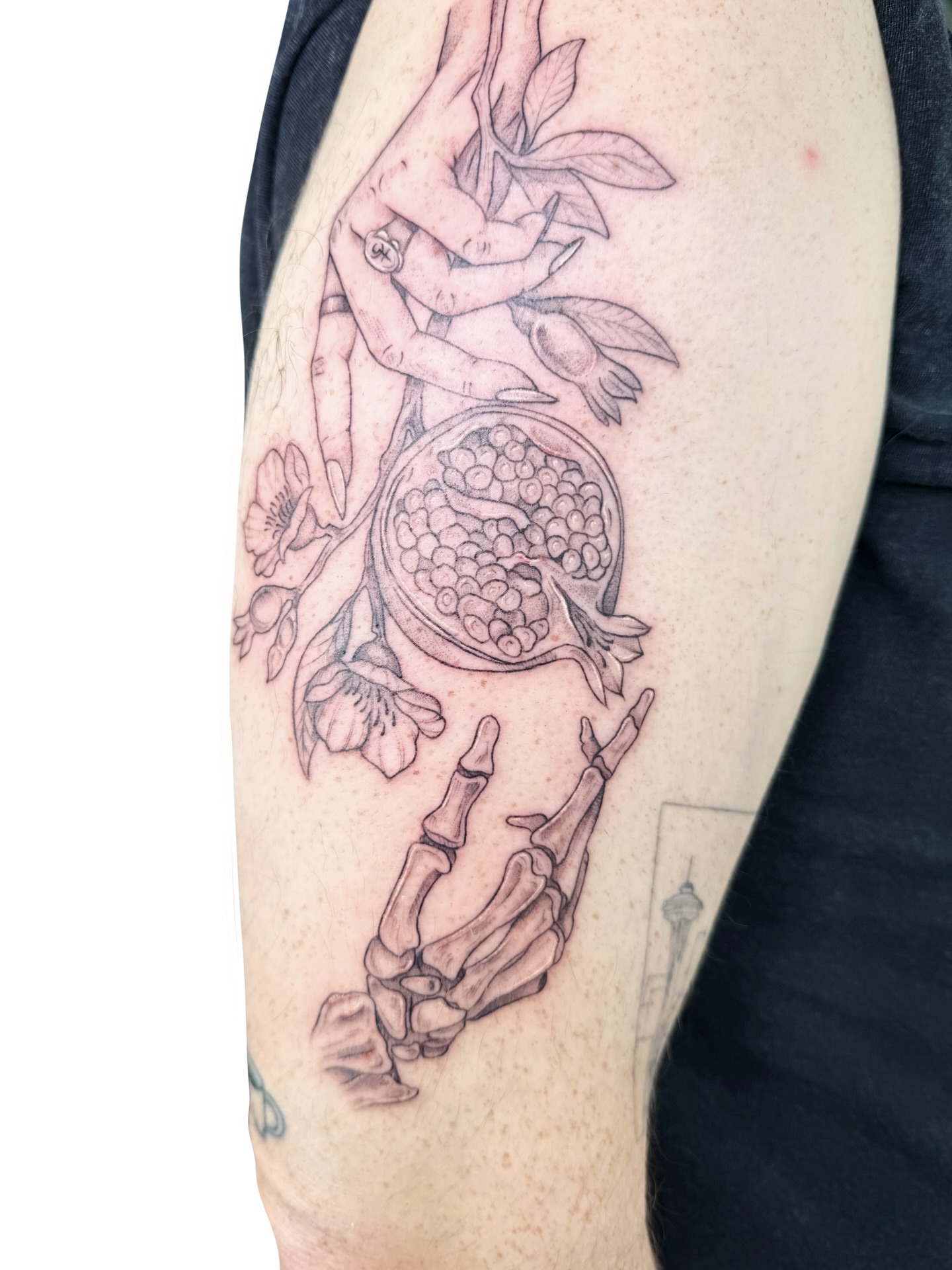 Tattoo by Fionna • Illustrative/Fineline Tattoos 💫, Seattle, WA