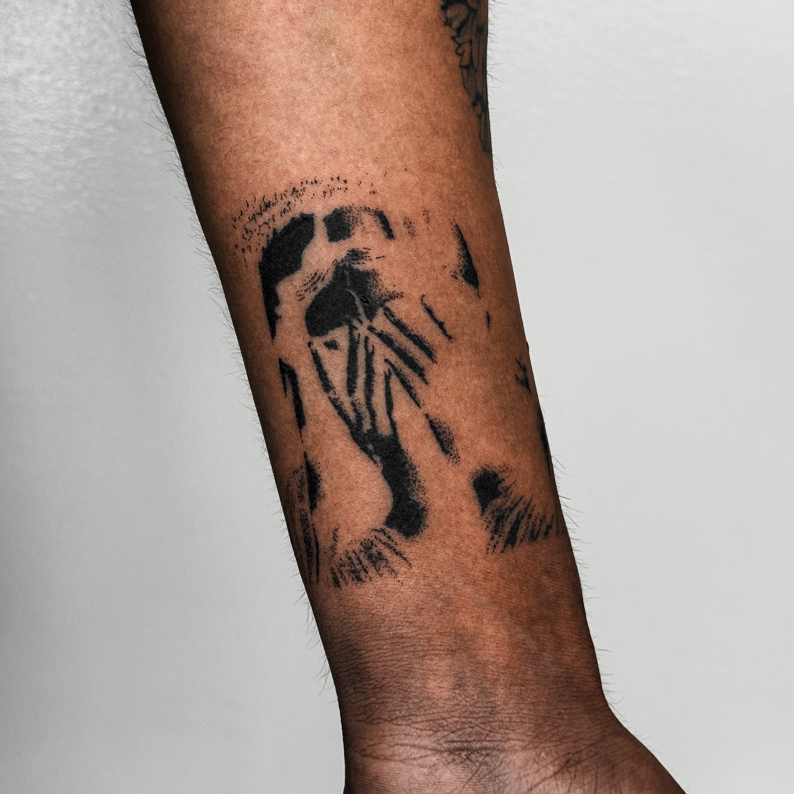 Lion dotwork tattoo on the forearm by Javier  Darder 𓃭𓀠✬✹☄︎❁☠︎³³