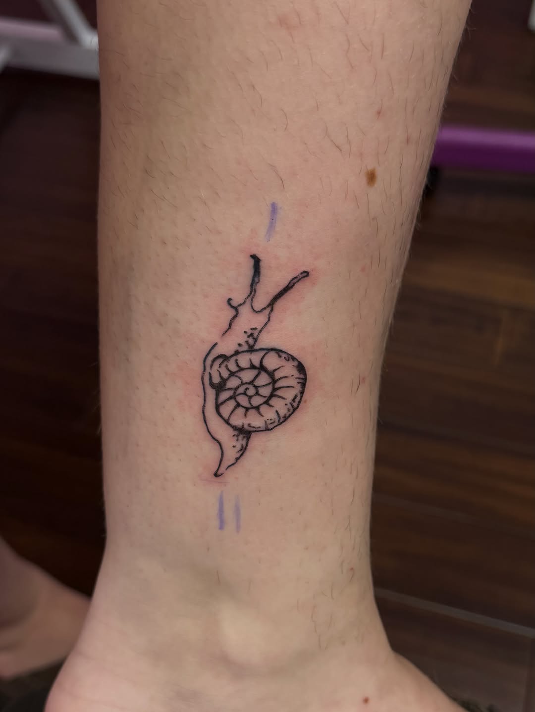 Snail tattoo on the calf by Lindsey