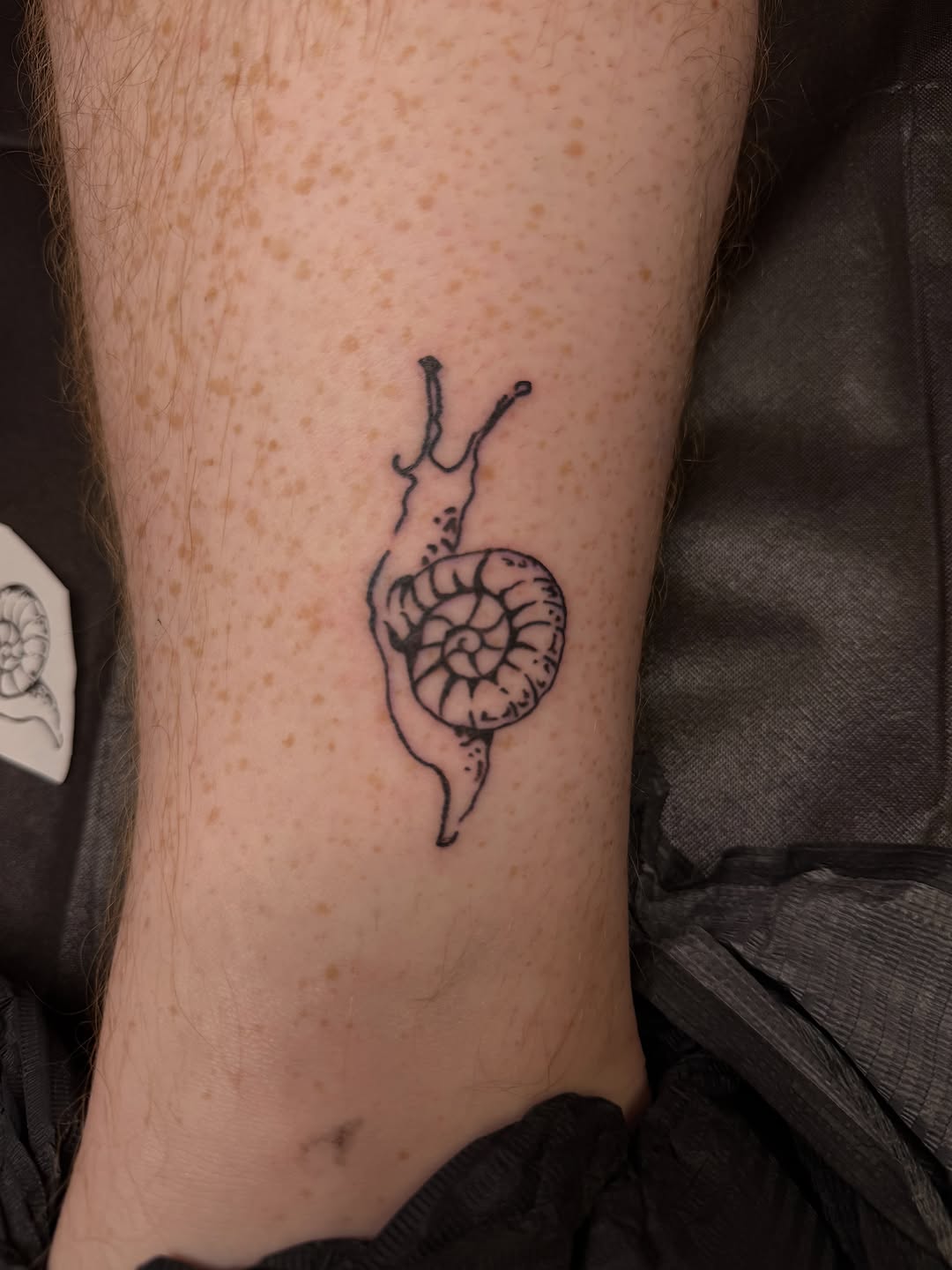 Snail tattoo on the forearm by Lindsey