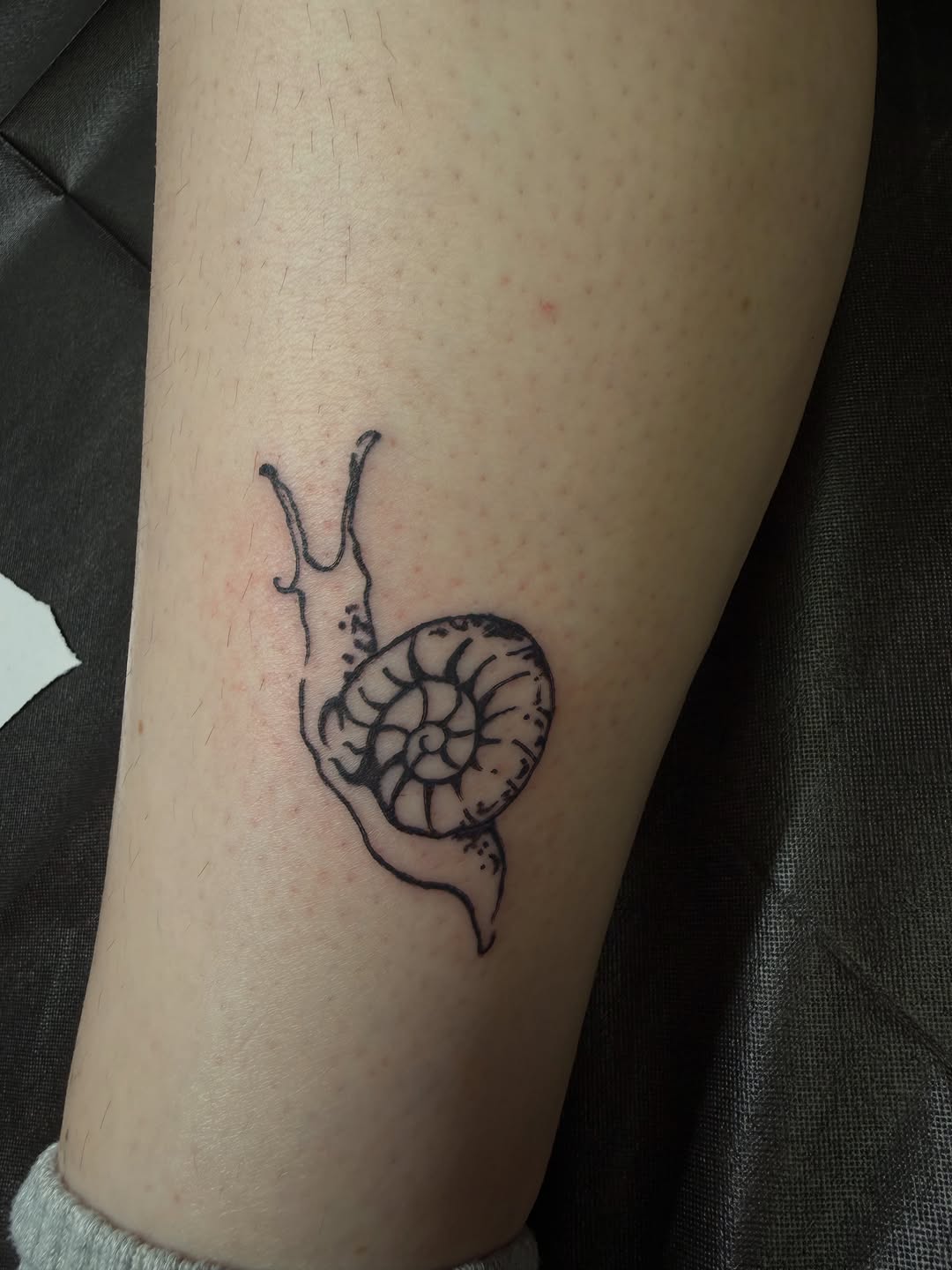 Snail fine line tattoo on the forearm by Lindsey