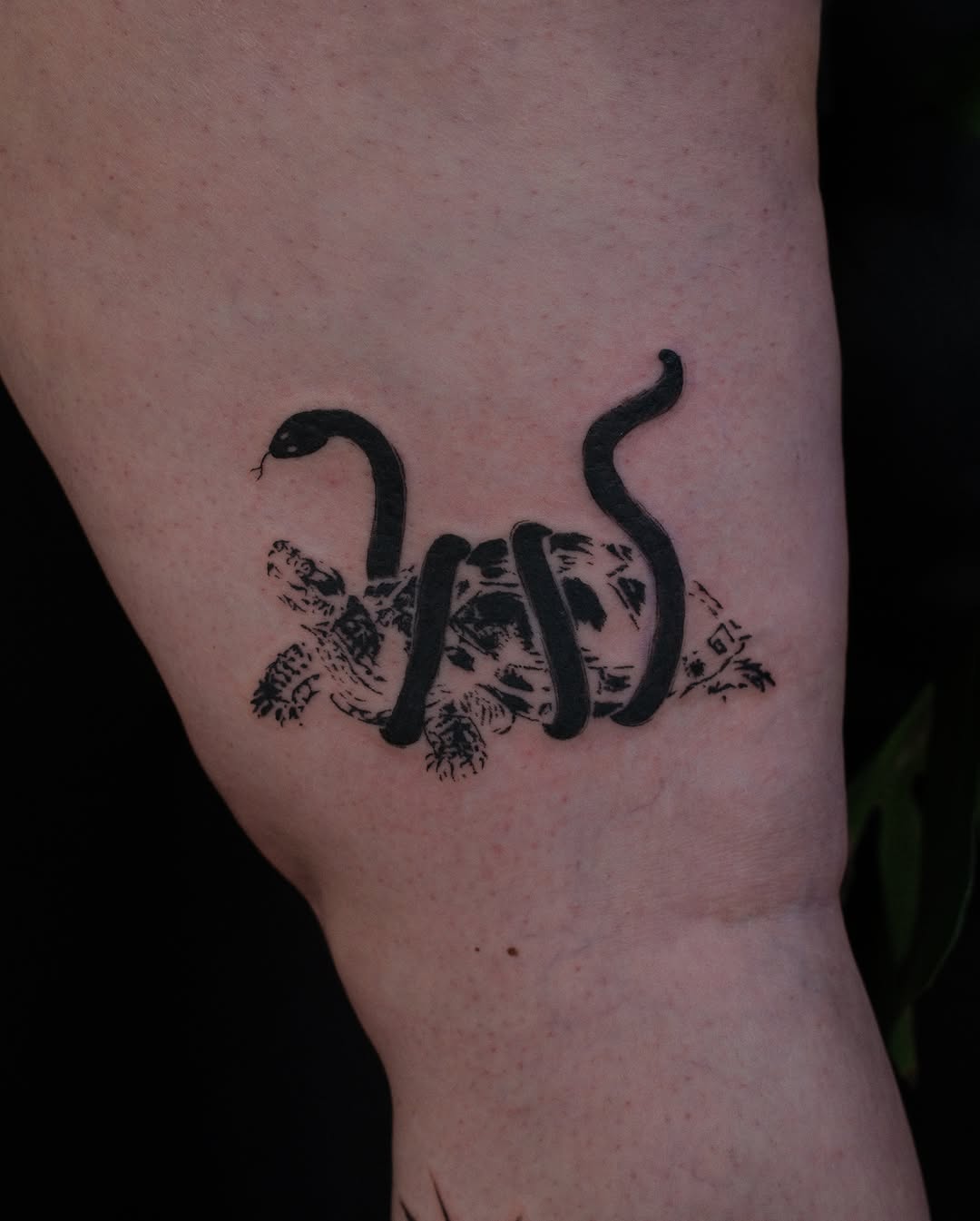 Snake and turtle surrealism tattoo on the forearm by lela