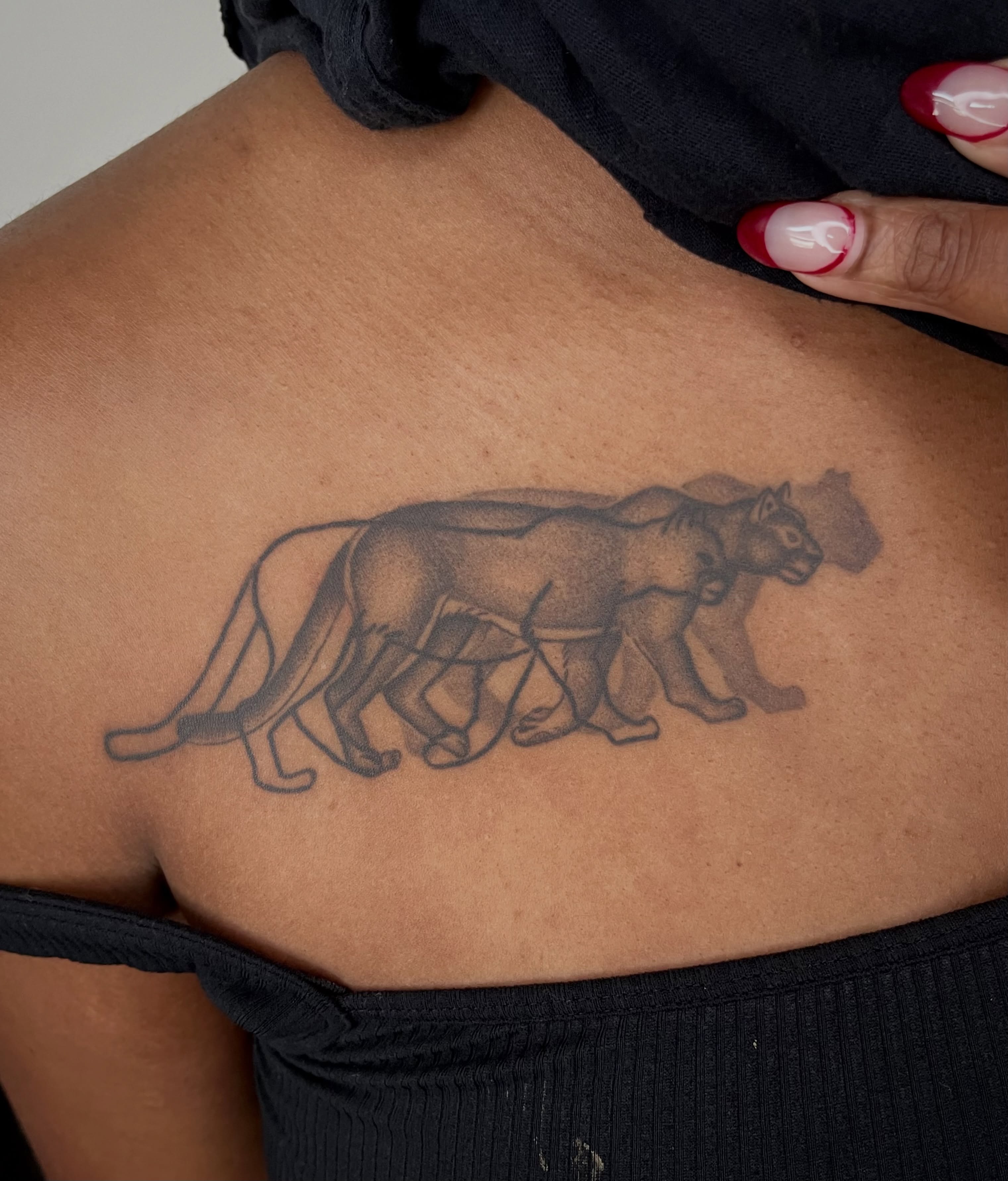 Panthers black and grey tattoo on the back by Patrick Elijah