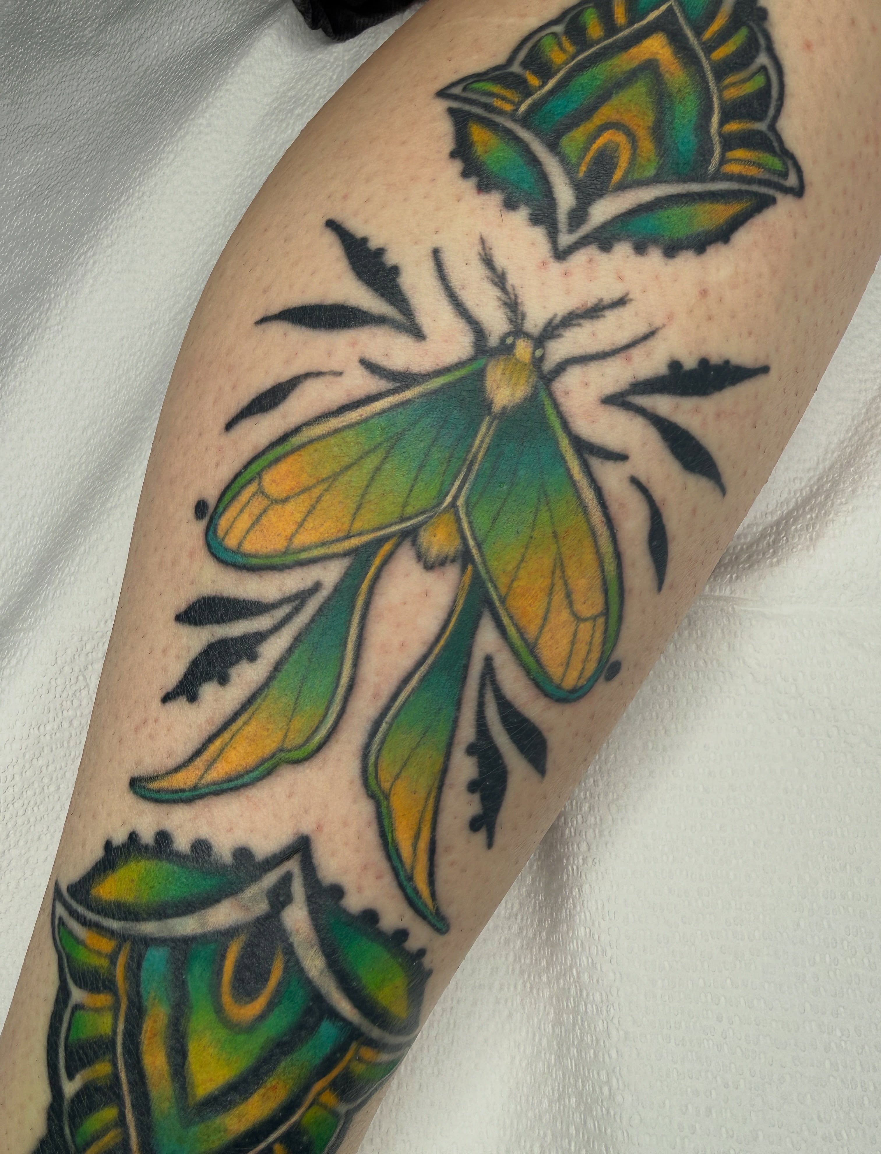 Moths American traditional tattoo on the forearm by AJ Jensen