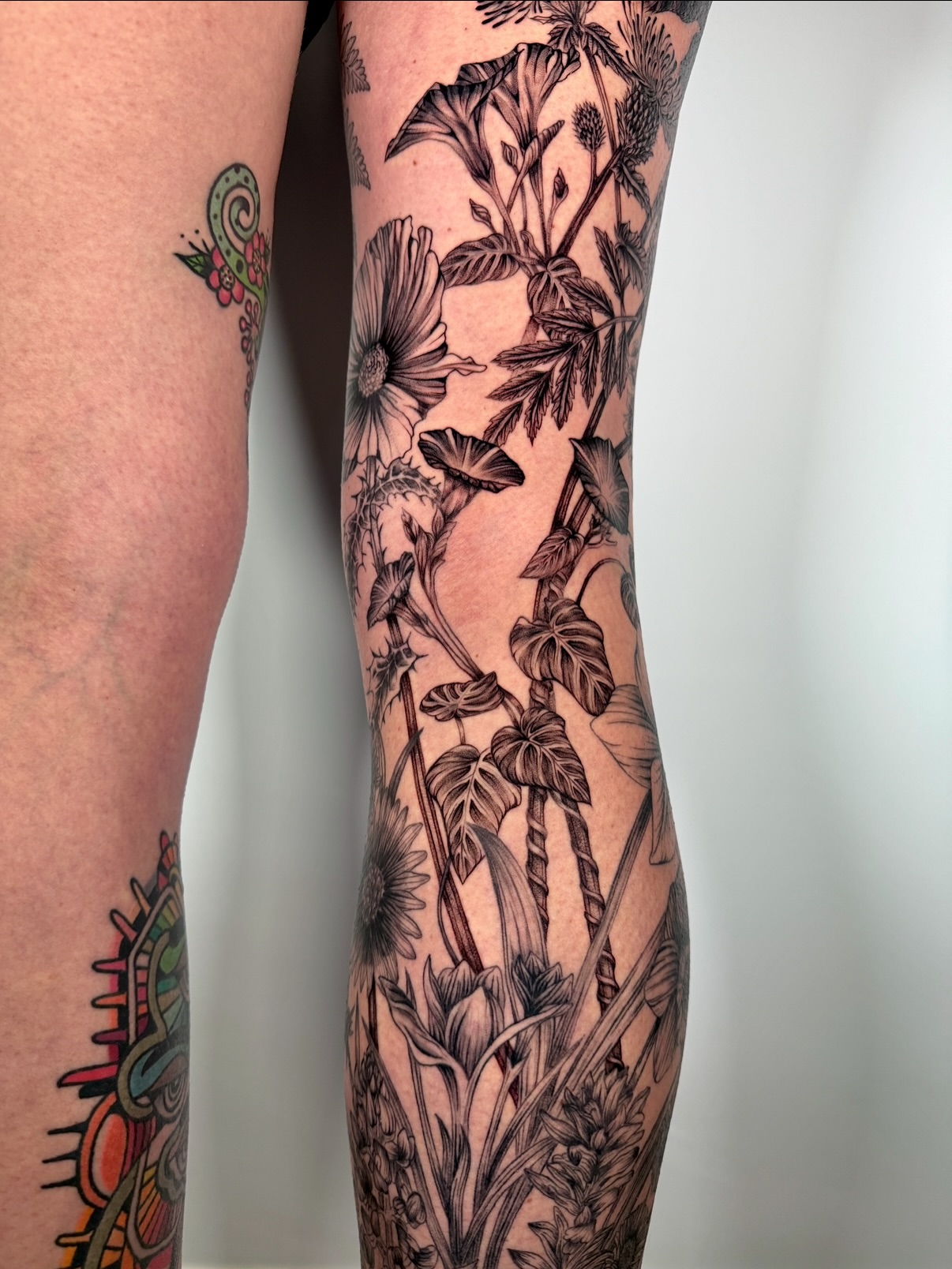 Botanical illustration realism tattoo on the forearm by aria, Austin, Texas