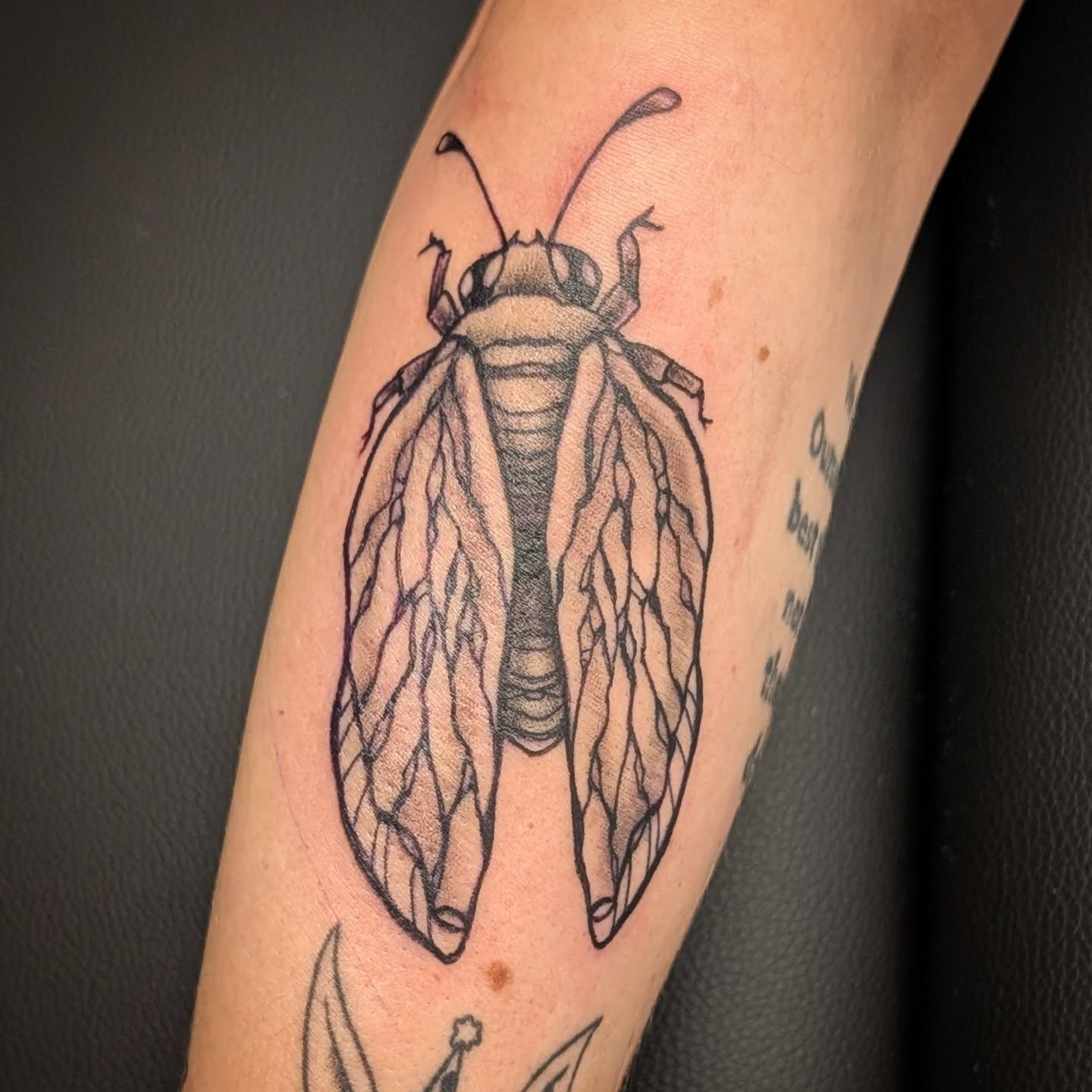 Cicada black and grey tattoo on the forearm by Michaela May