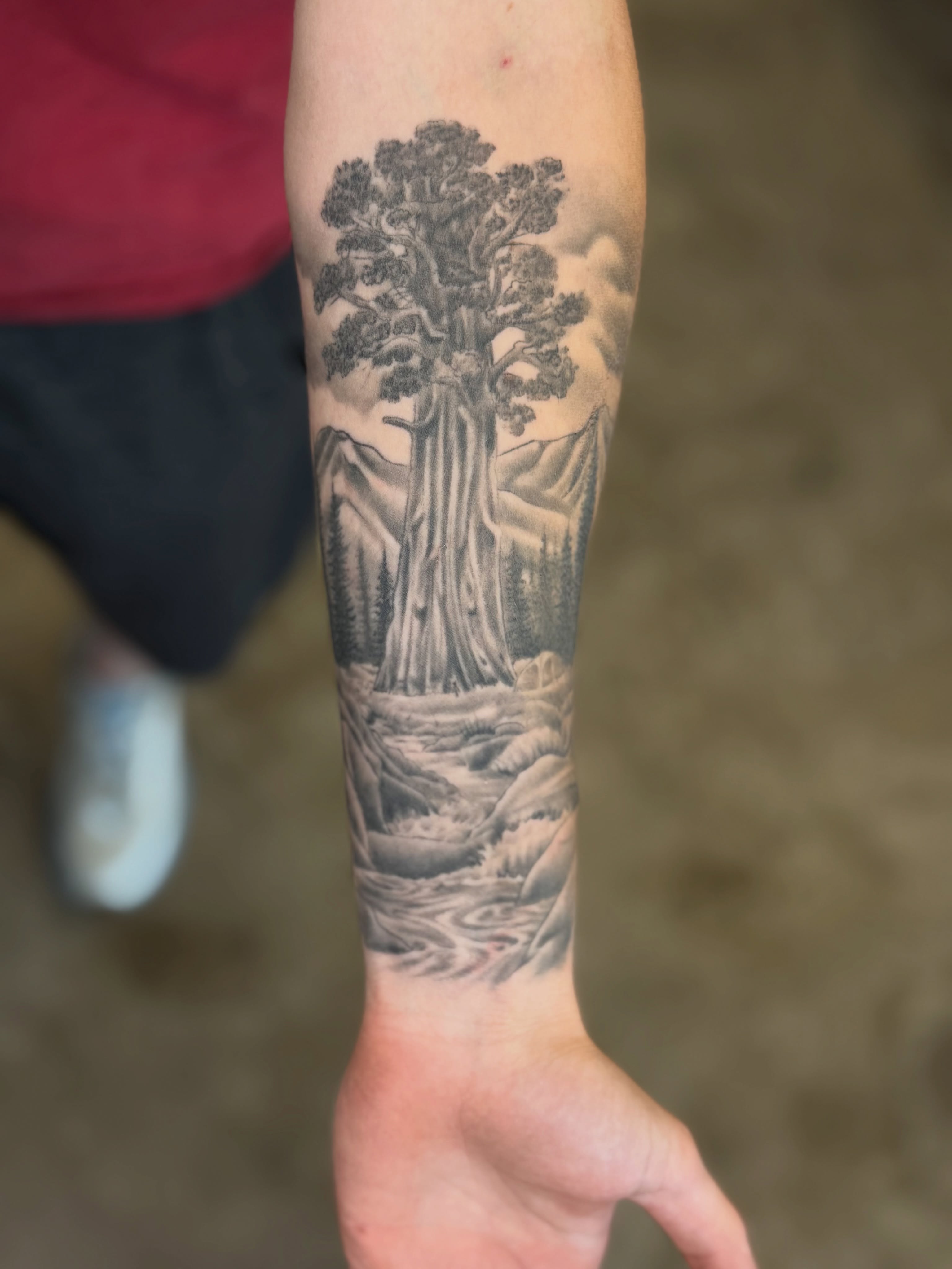 Forest landscape realism tattoo on the forearm by Ricky Sanchez, Duncanville, Texas