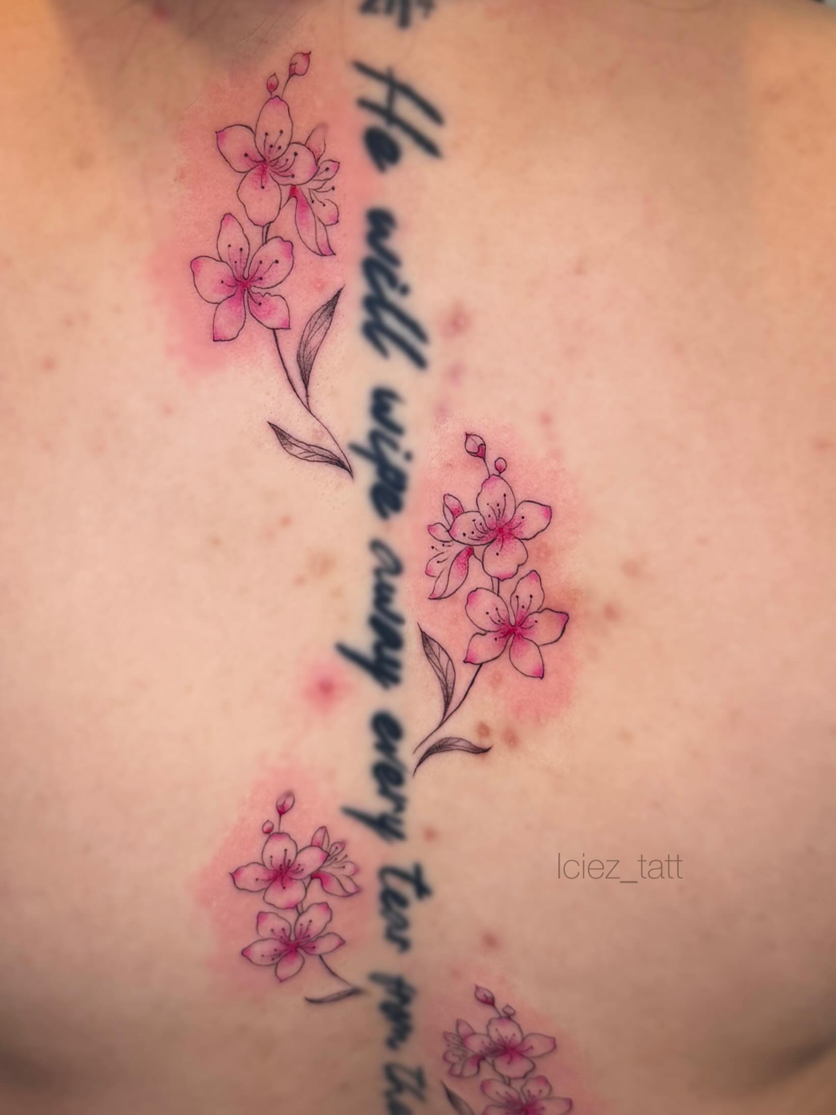 Cherry blossoms and script fine line tattoo on the chest by Iciez