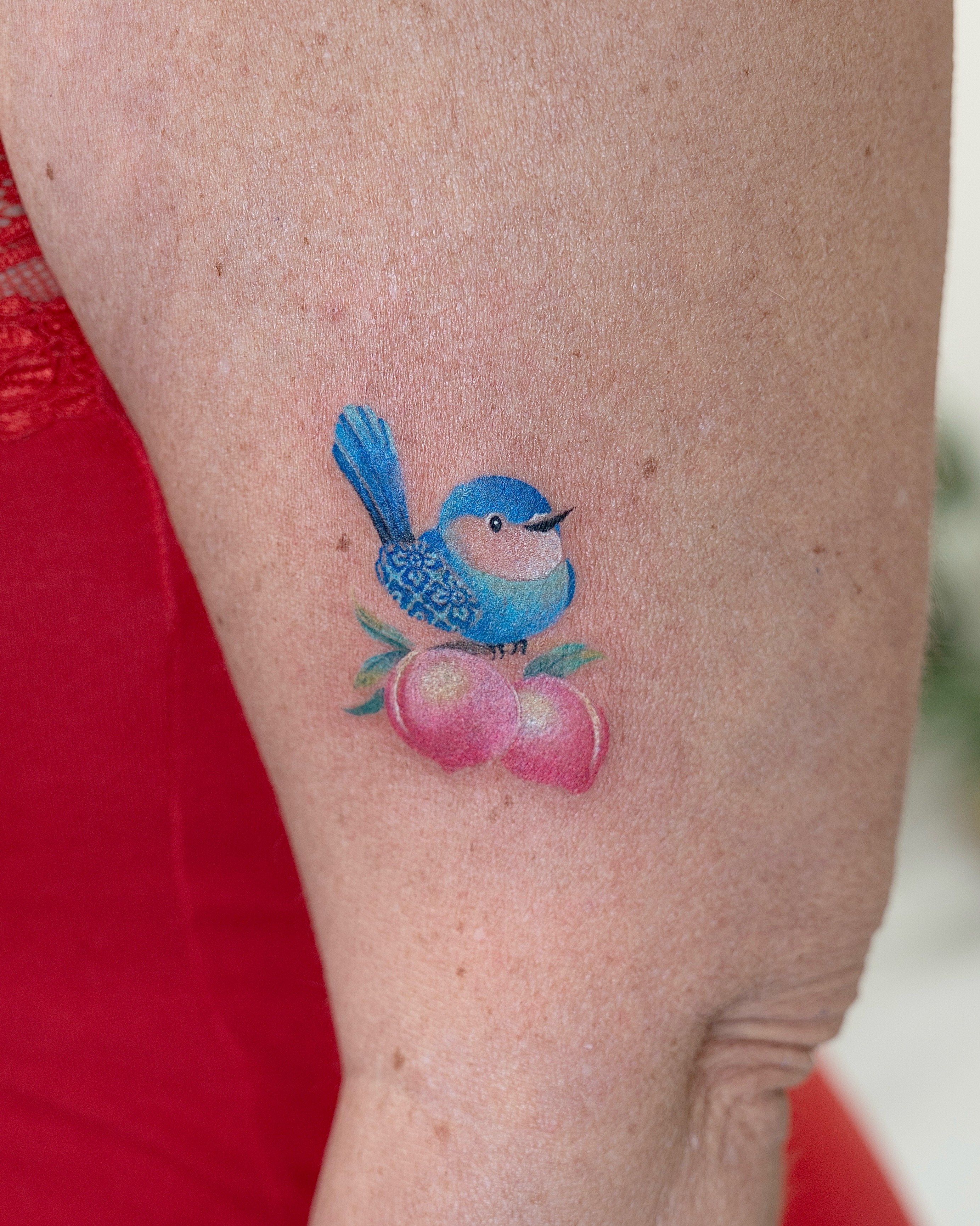 Bird and fruit dotwork tattoo on the forearm by 라이브 Live