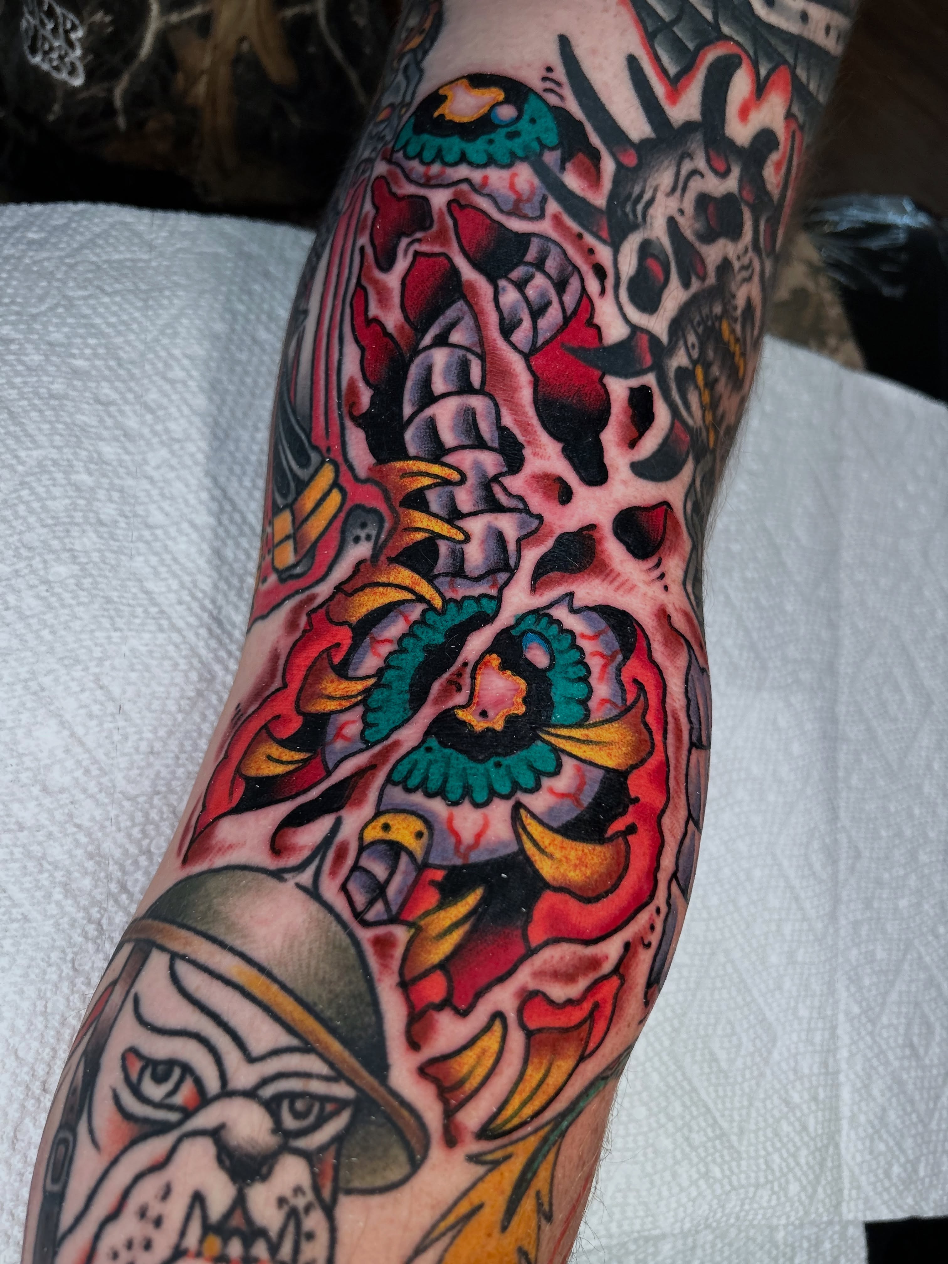 Bird and skull American traditional tattoo on the forearm by Kit Miller, Indianapolis, Indiana