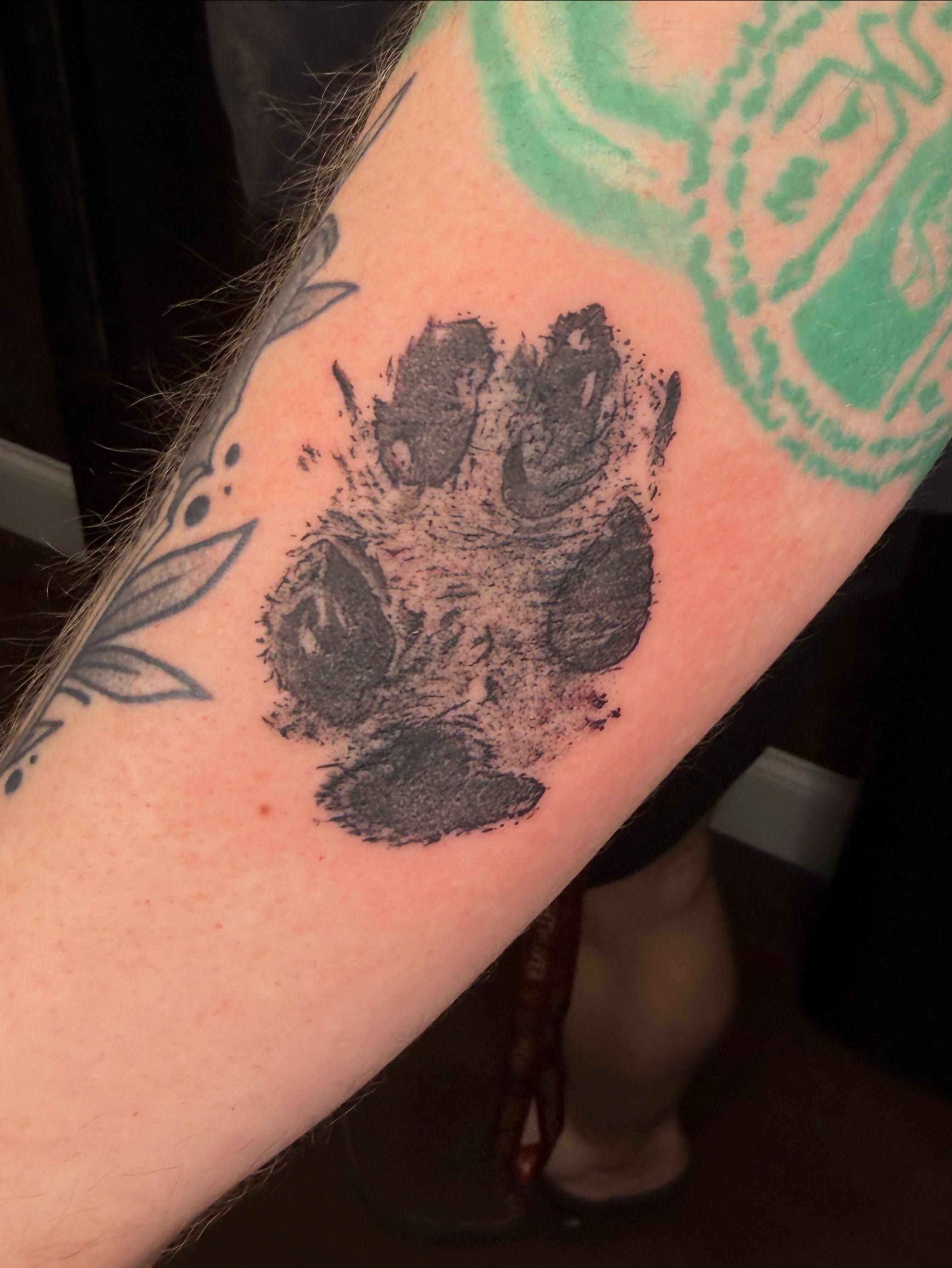 Bear paw print dotwork tattoo on the forearm by Jezza Munson