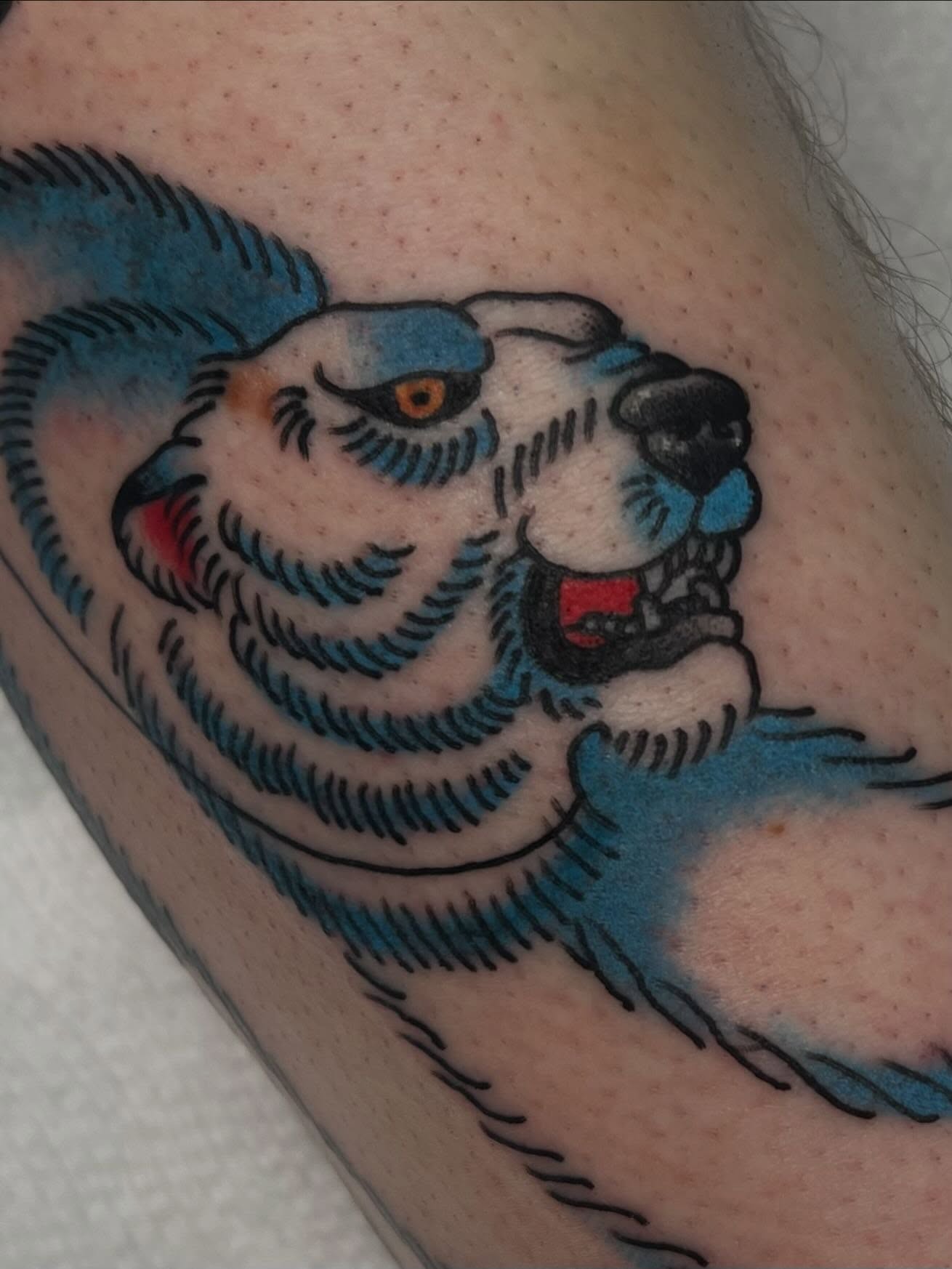 Bear American traditional tattoo on the upper arm by ＊jaela＊ohio tattoo artist＊