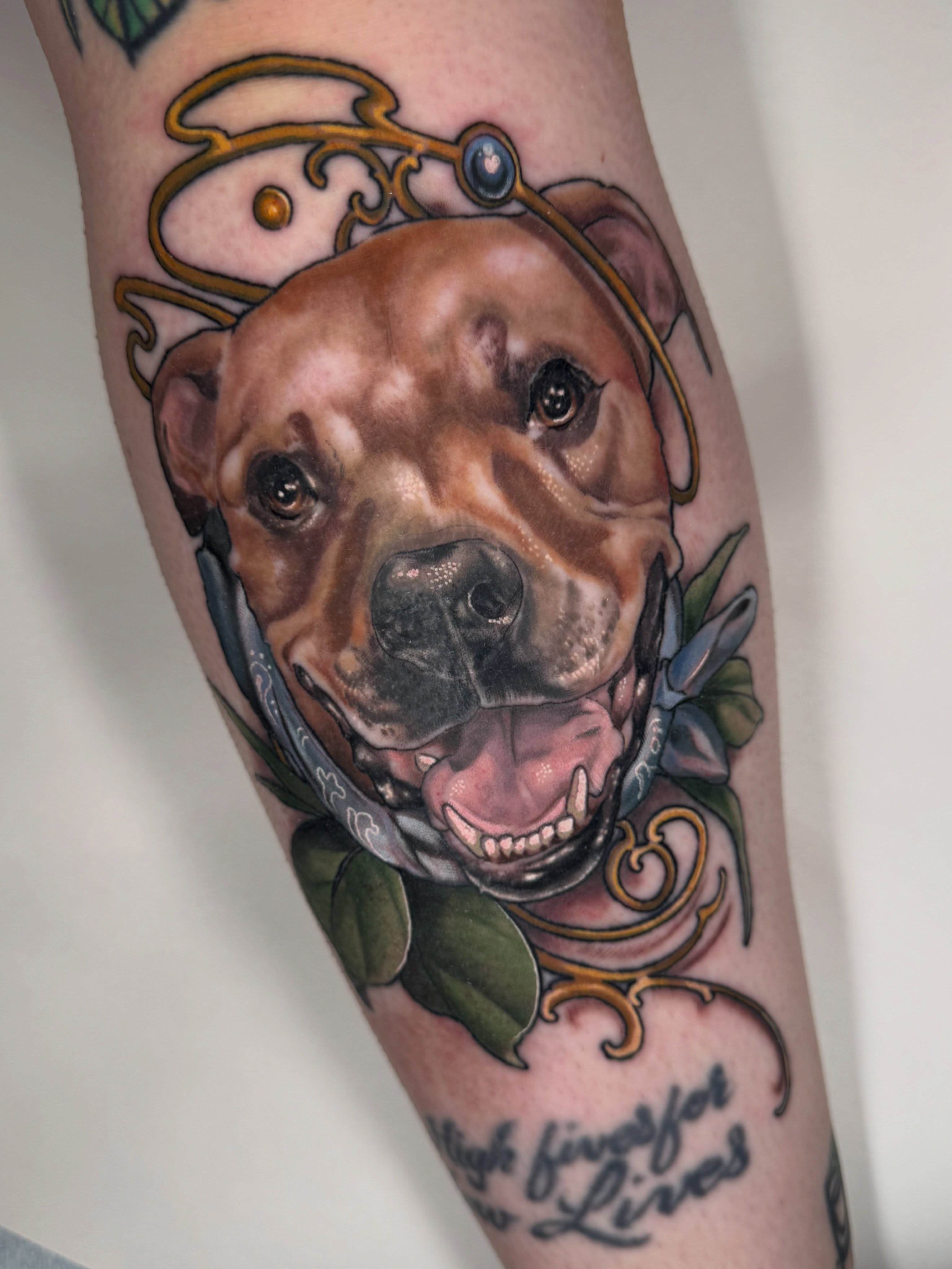 Dog portrait realism tattoo on the forearm by β«οΈπ―πππππ - Ohio Tattoo Artist β«οΈ