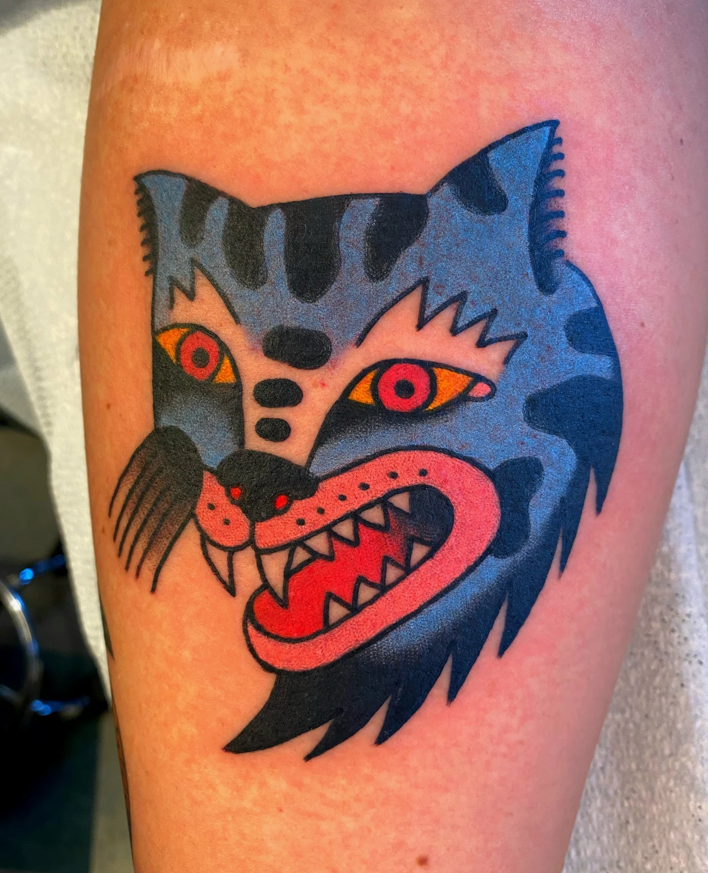 Cat American traditional tattoo on the forearm by Quinn, Kansas City, Missouri