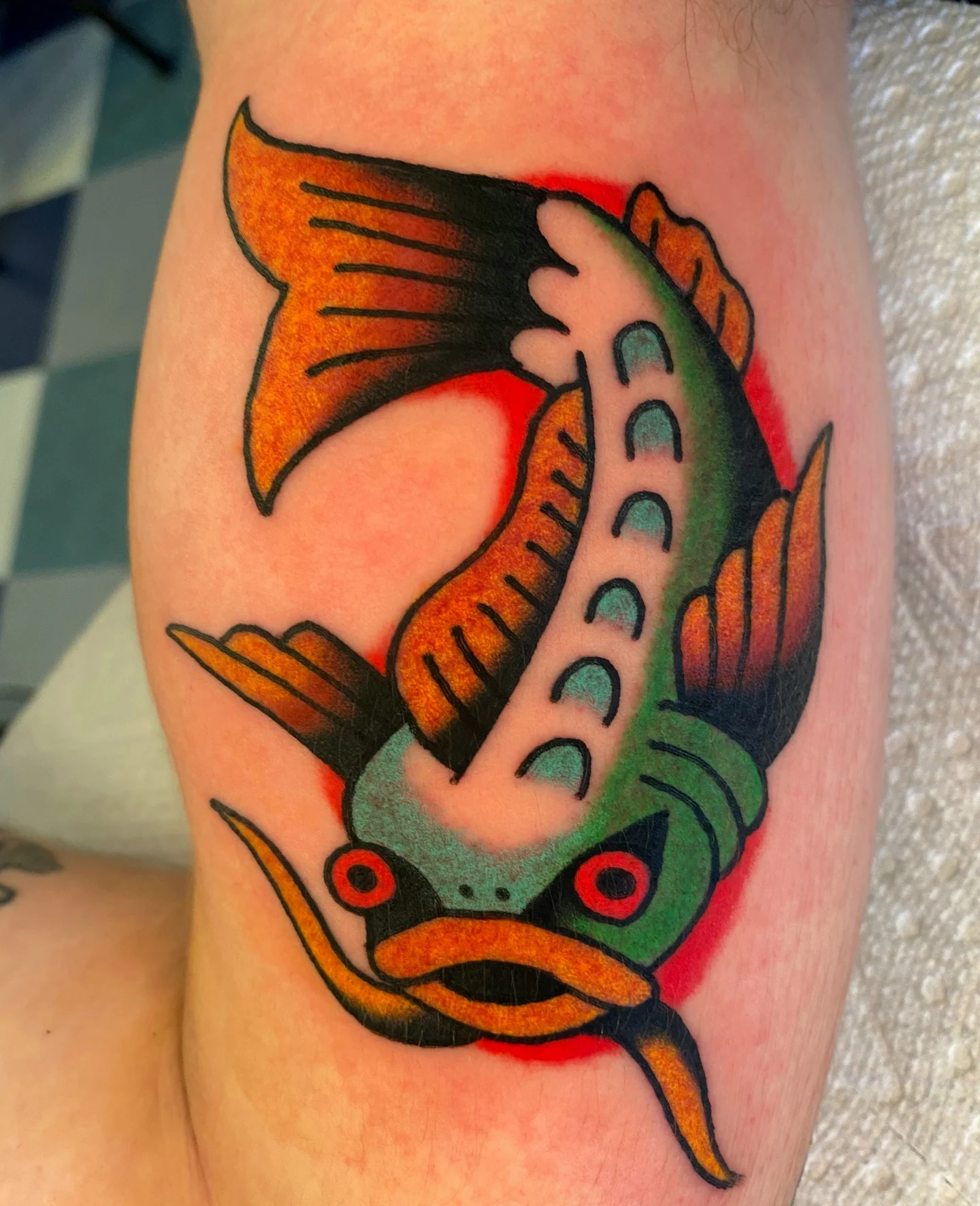 Fish American traditional tattoo on the forearm by Quinn, Kansas City, Missouri