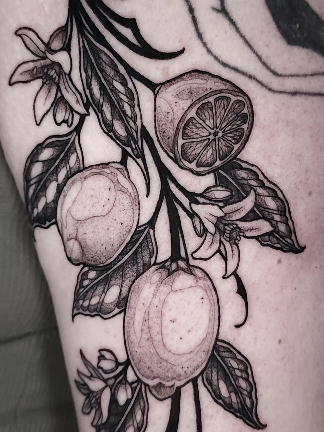 Tattoo by @inkeyestattoo — black_and_grey, dotwork