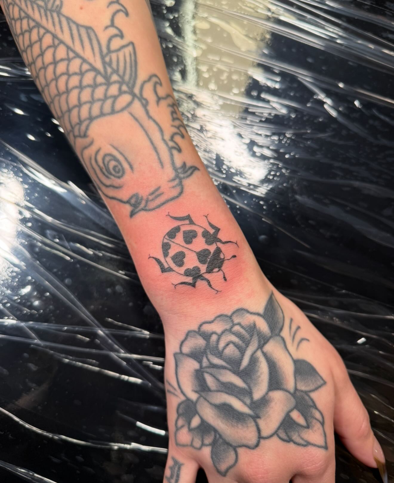 Koi fish, ladybug, rose American traditional tattoo on the forearm by Jennylee Aerts, Asbury Park, New Jersey