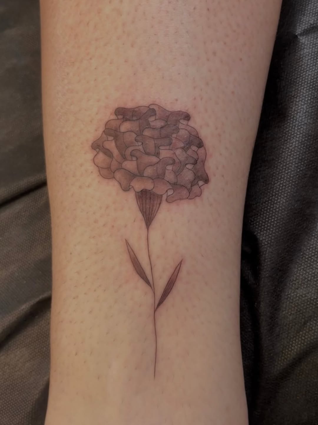 Marigold flower dotwork tattoo on the forearm by alana khounmeuang