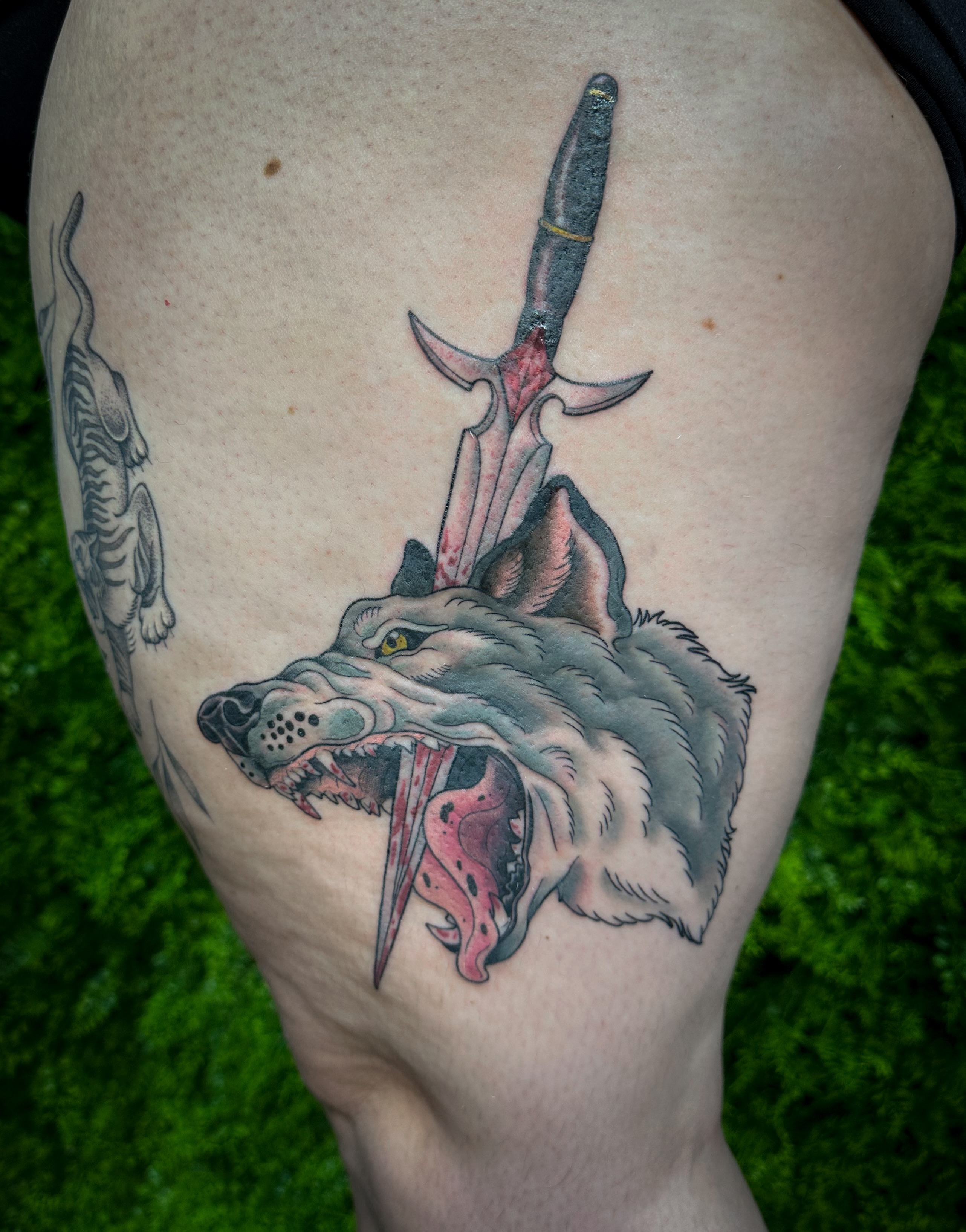 Wolf with knife realism tattoo on the thigh by 𝑰𝒍𝒍𝒖𝒔𝒕𝒓𝒂𝒕𝒊𝒗𝒆 𝑵𝒂𝒕𝒖𝒓𝒆 𝑻𝒂𝒕𝒕𝒐𝒐 𝑨𝒓𝒕𝒊𝒔𝒕