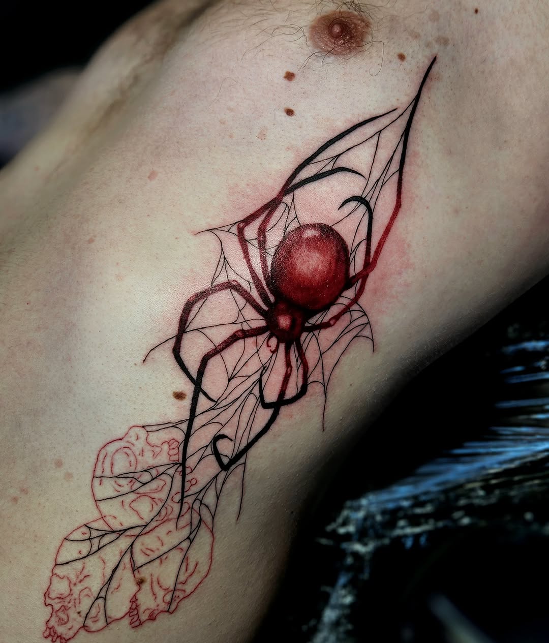 Spider realism tattoo on the forearm by Ashly Renee