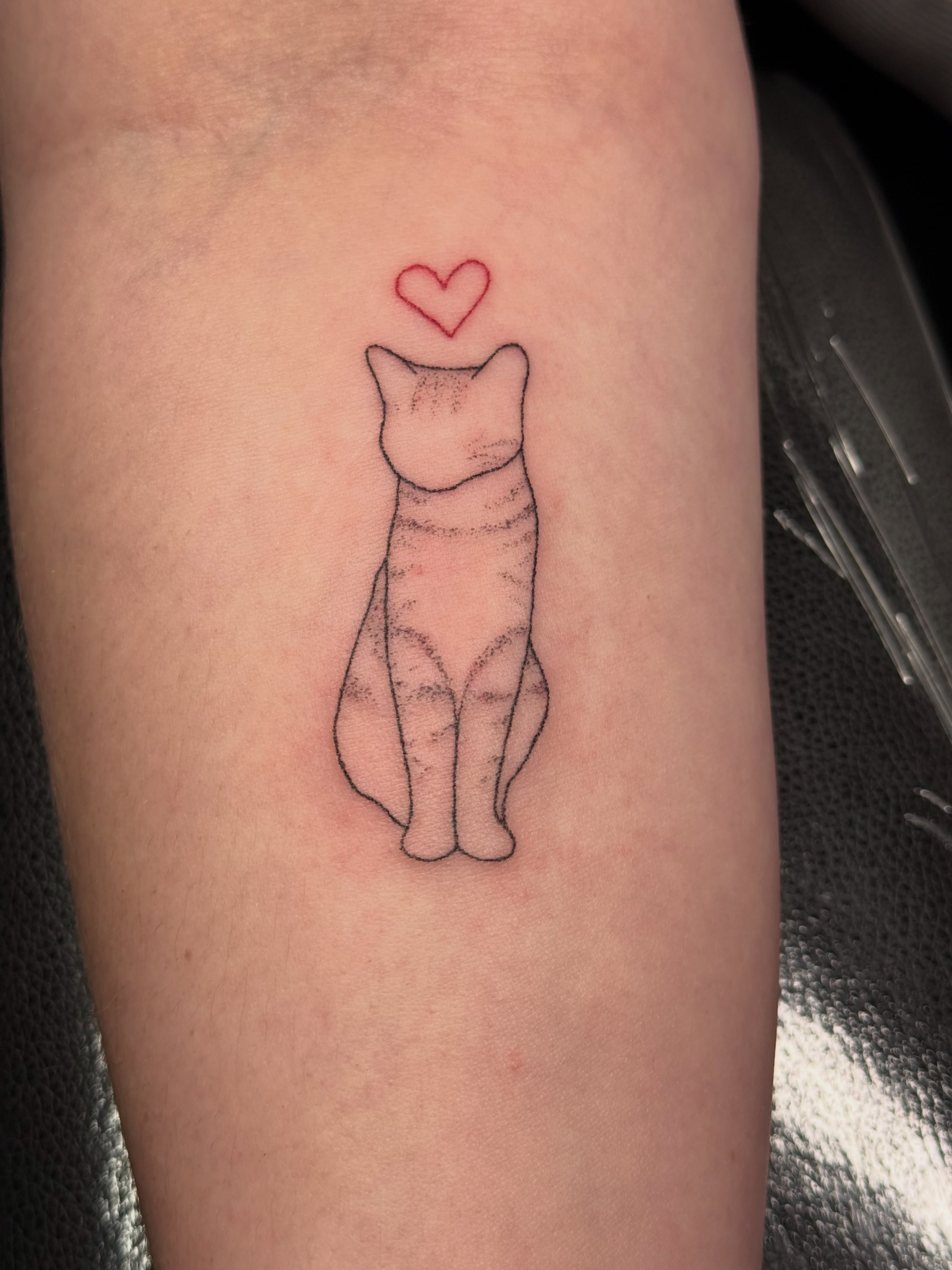 Cat minimalist tattoo on the forearm by Handpoke Tattoo Artist, Minneapolis, Minnesota