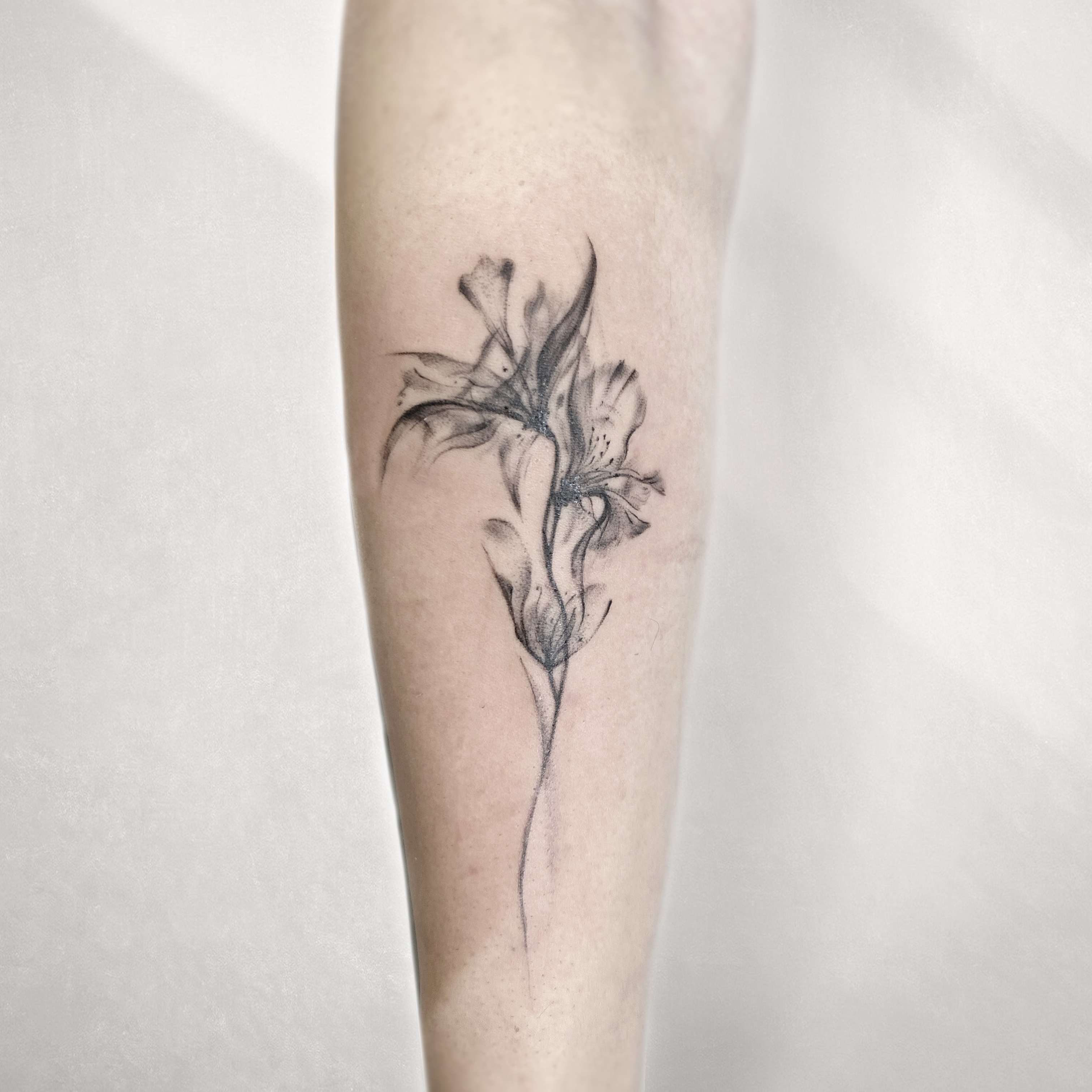 Lily black and grey tattoo on the forearm by R o s e