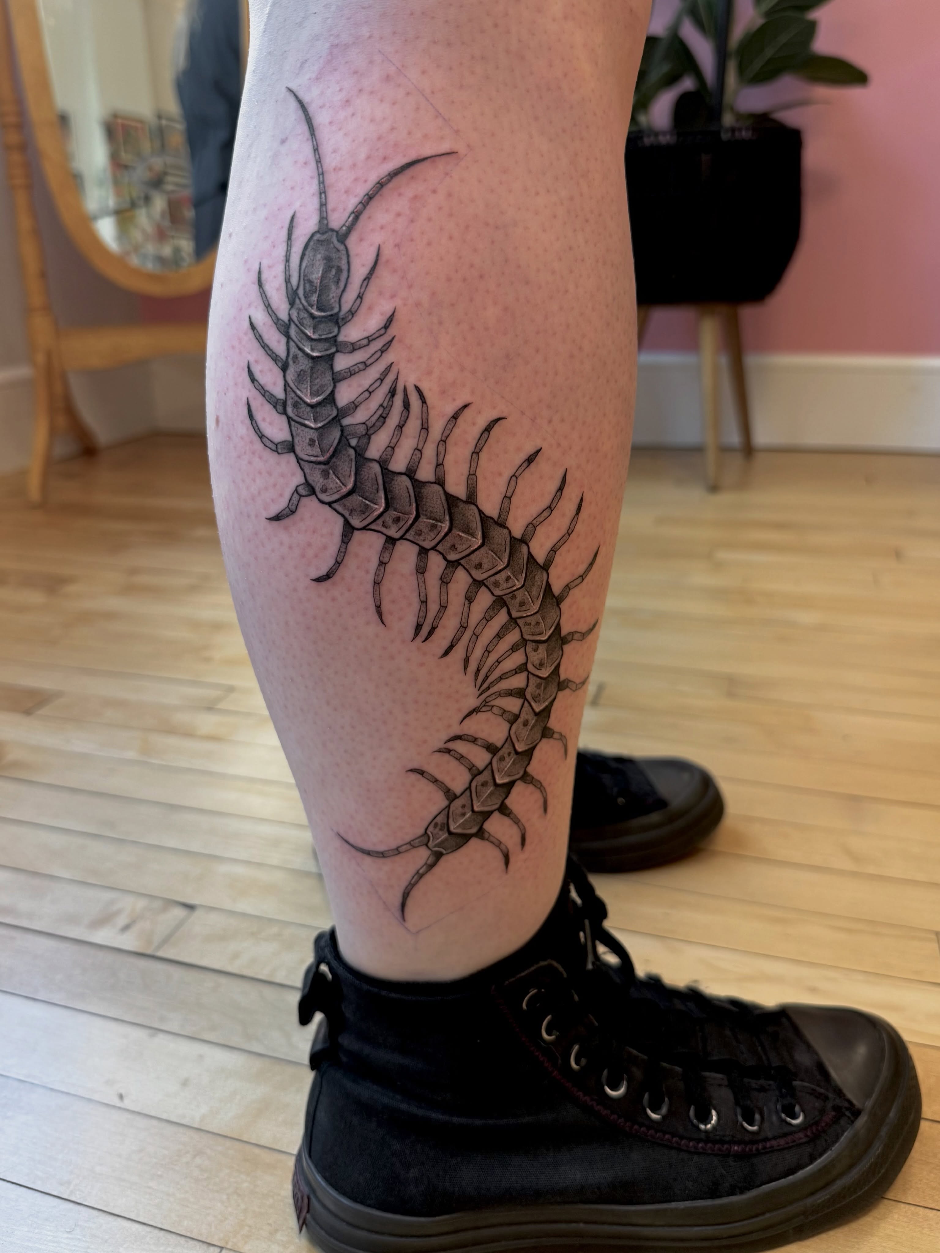 Centipede black and grey tattoo on the leg by Kelsey Lynn▪️Raleigh Tattoo Artist