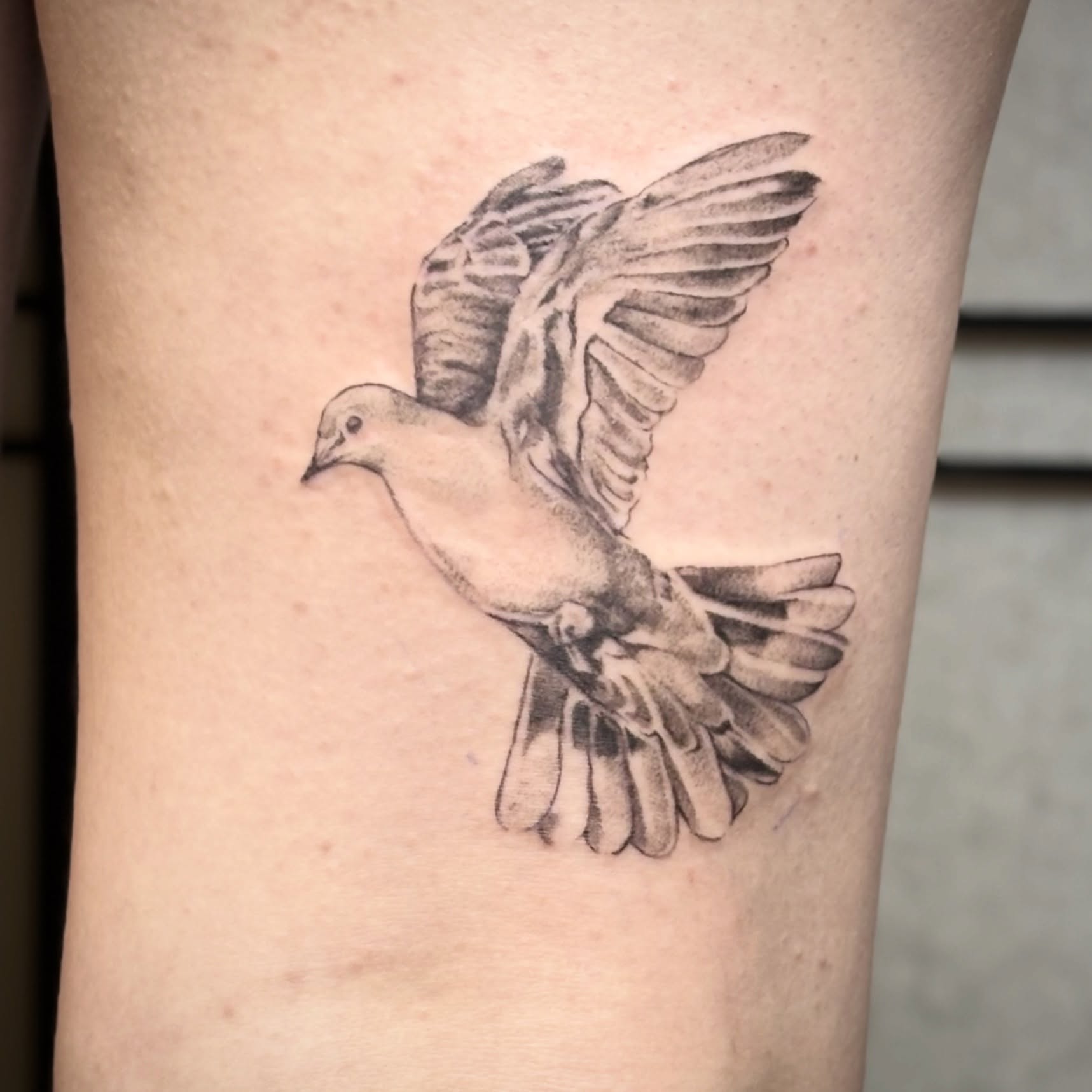 Dove realism tattoo on the forearm by ★ Val! ★ Tattoo Artist