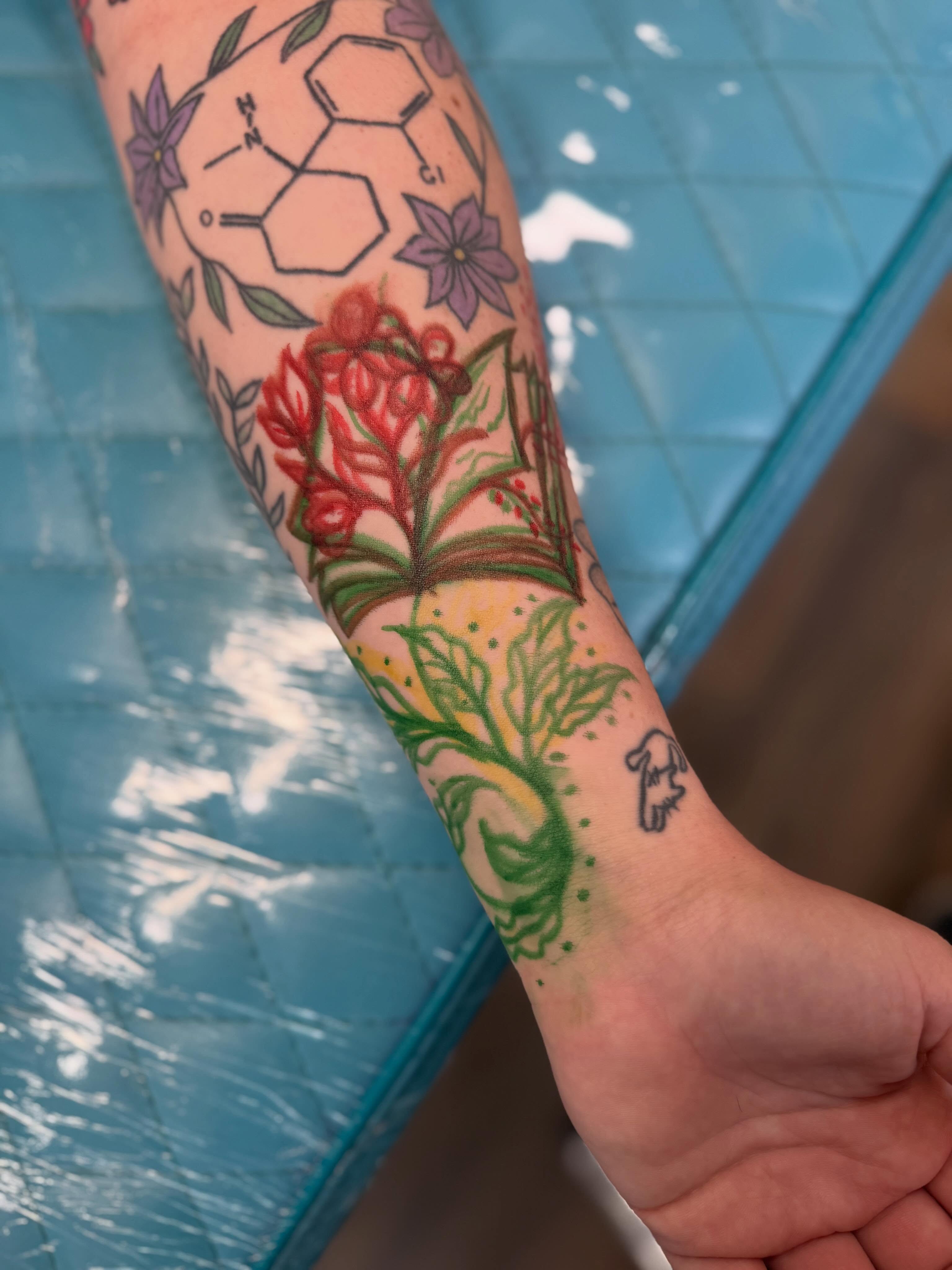 Botanical new school tattoo on the forearm by Serenity Mullins