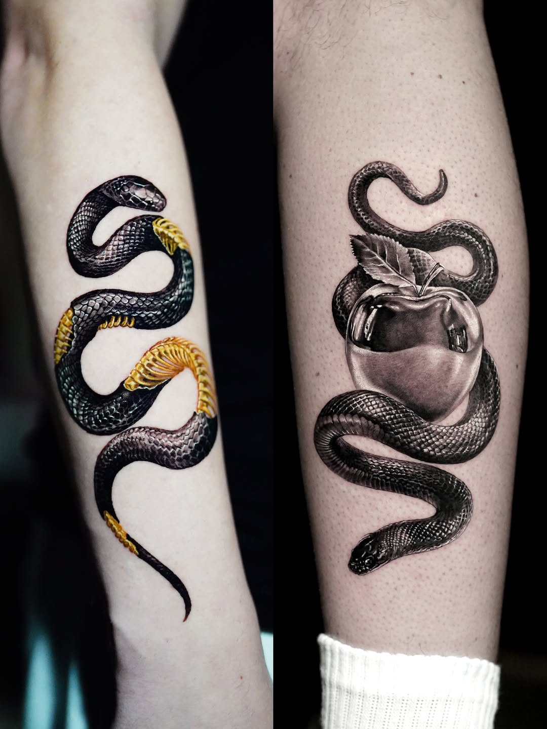 Snake and apple American traditional tattoo on the forearm by Eun, Toronto, Ontario