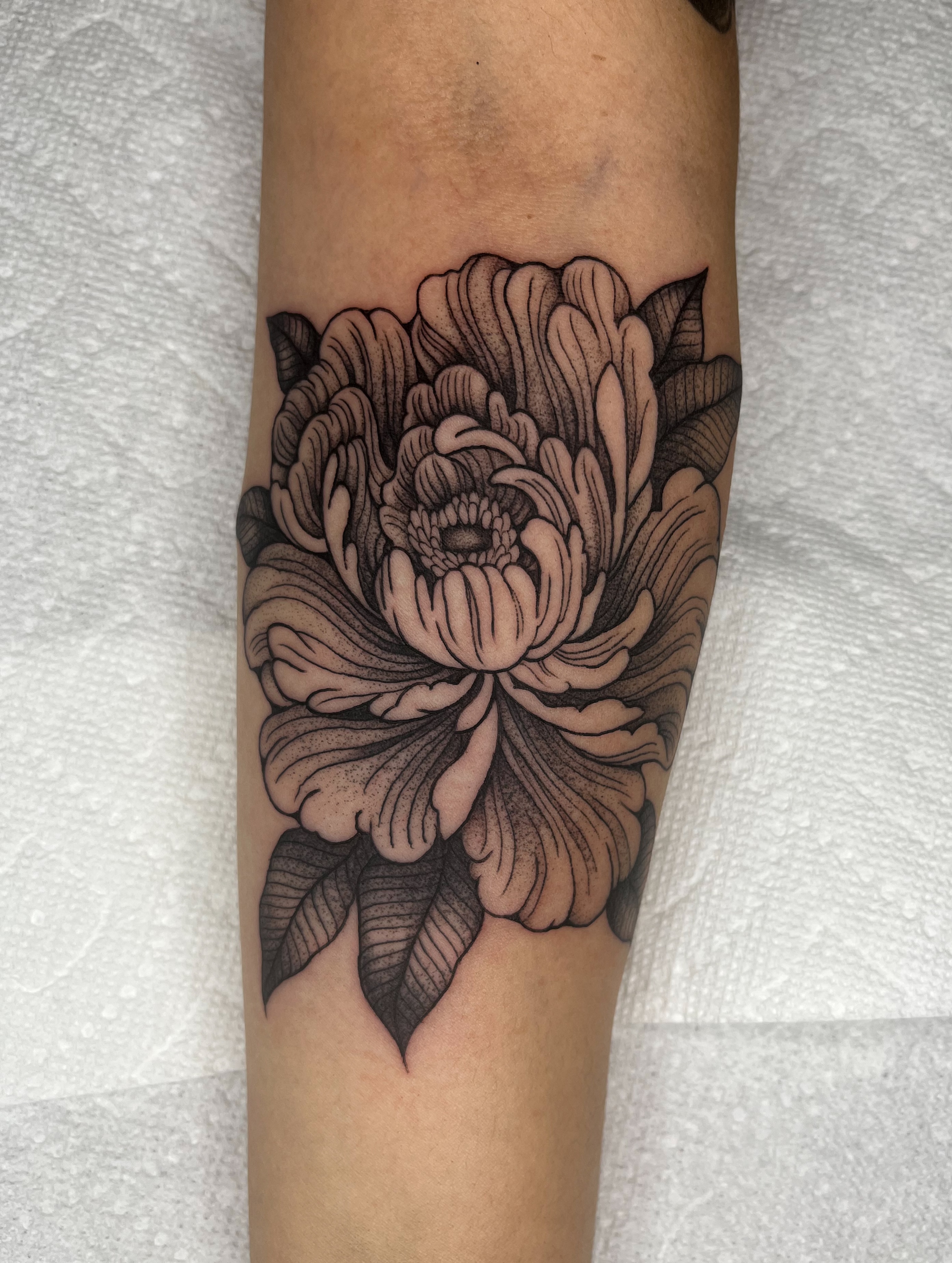 Peony black and grey tattoo on the forearm by The One Who’s Always Drawing