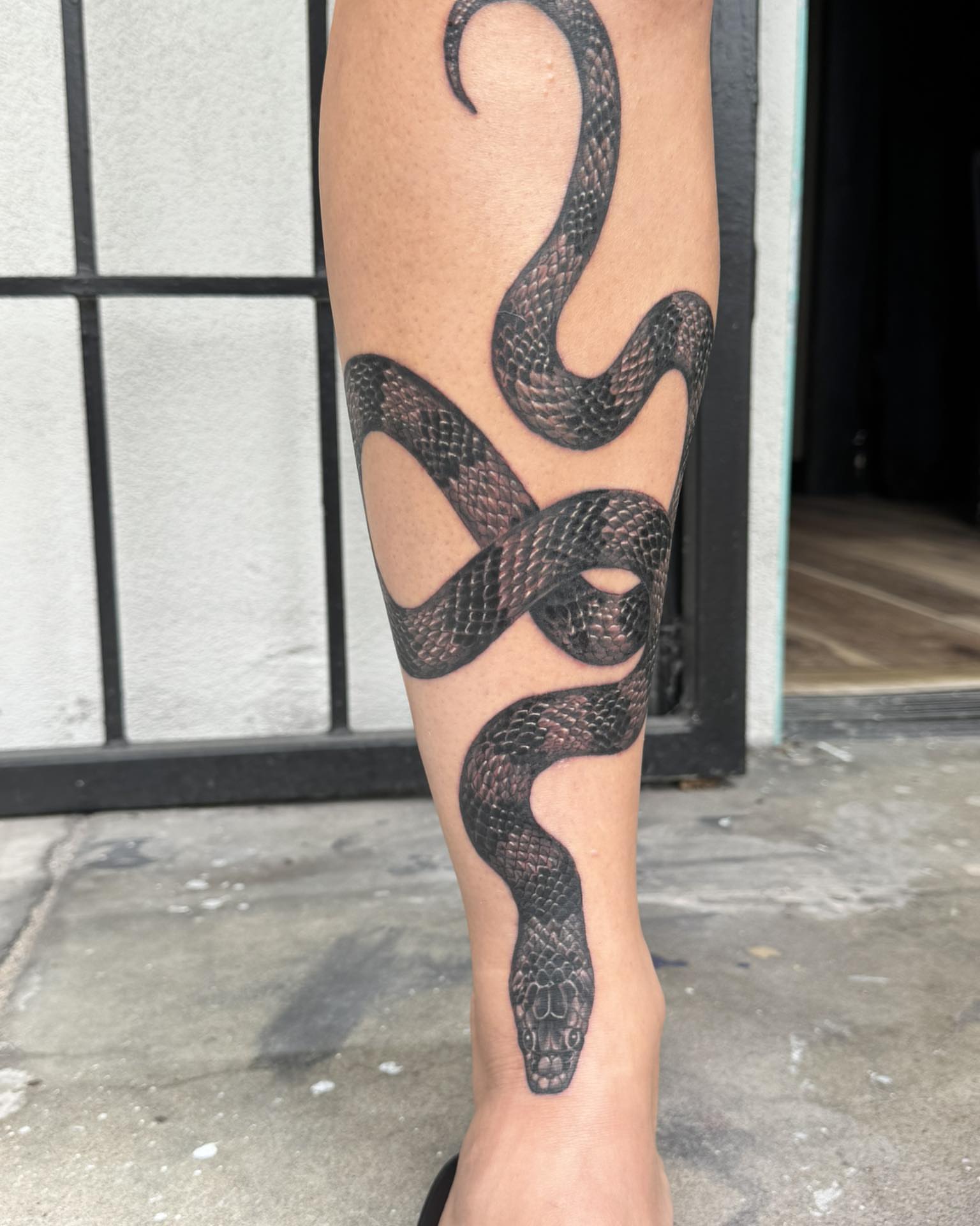 Snake black and grey tattoo on the calf by Skott Kautman, Dubuque, Iowa