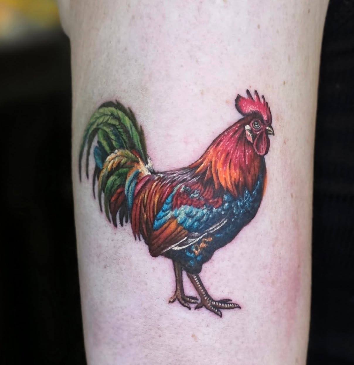 Rooster realism tattoo on the forearm by Banana Cake