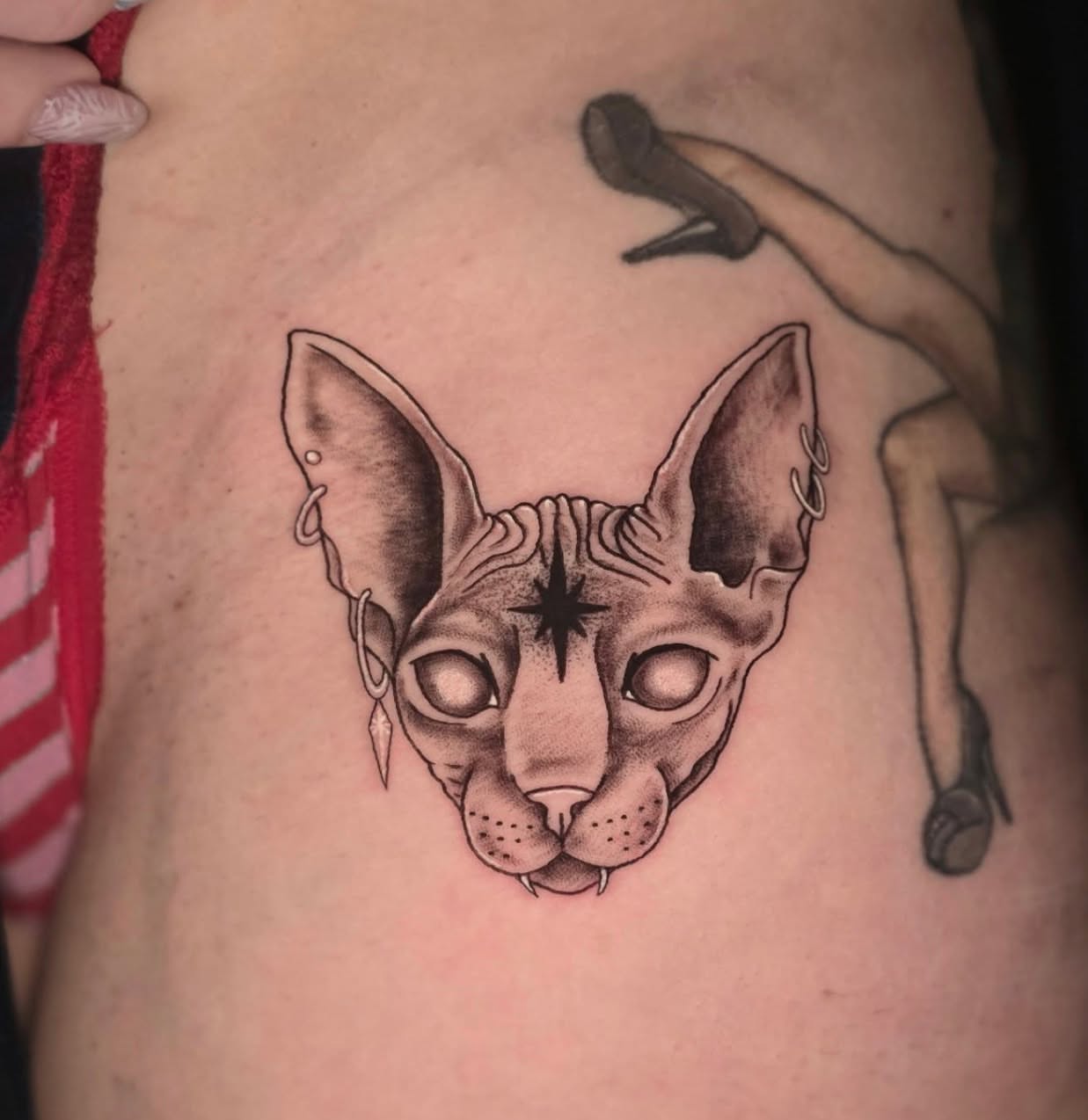 Cat realism tattoo on the thigh by Banana Cake