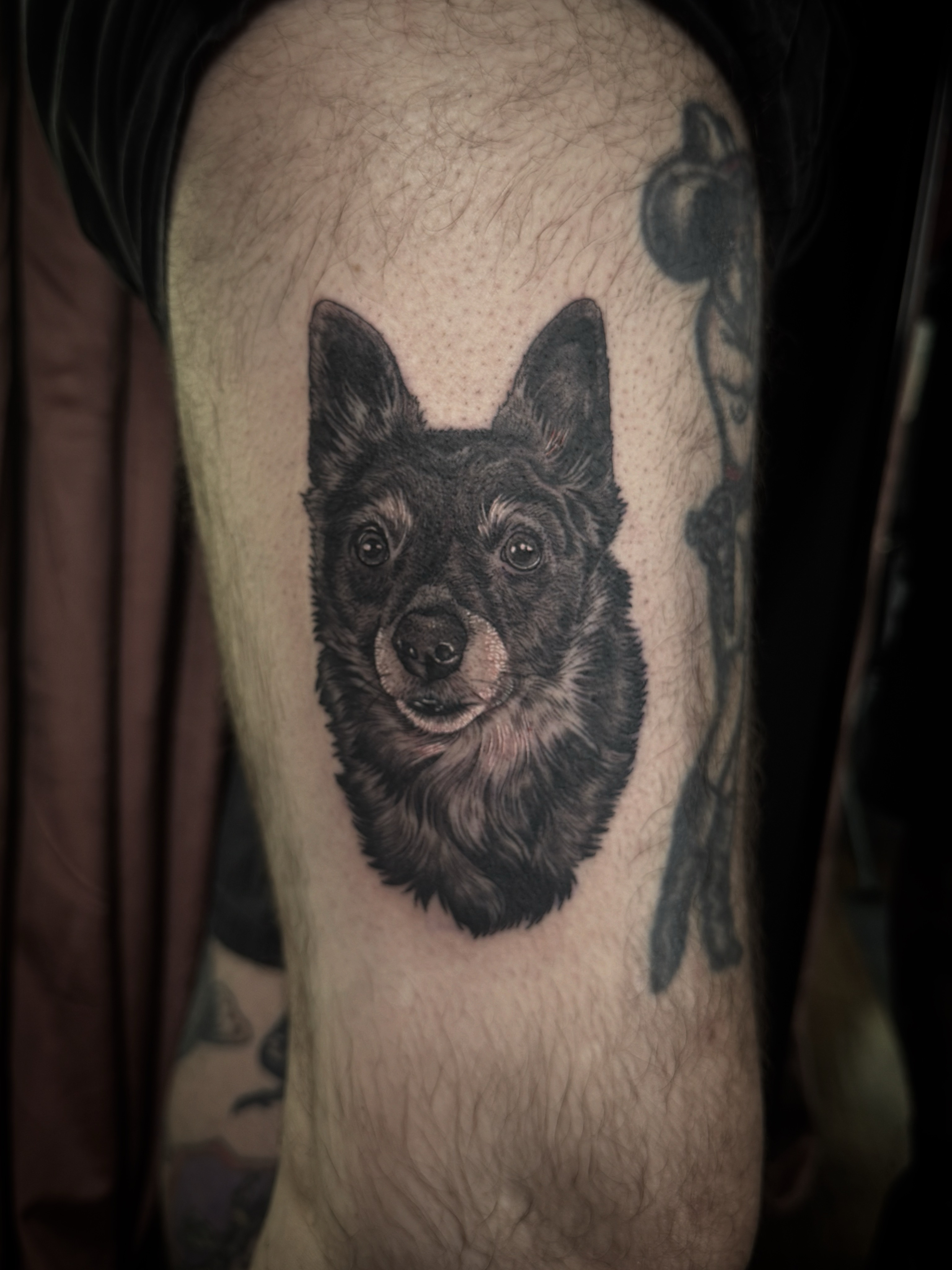 Dog realism tattoo on the forearm by Bethbeforedishonor, Rochester, New York