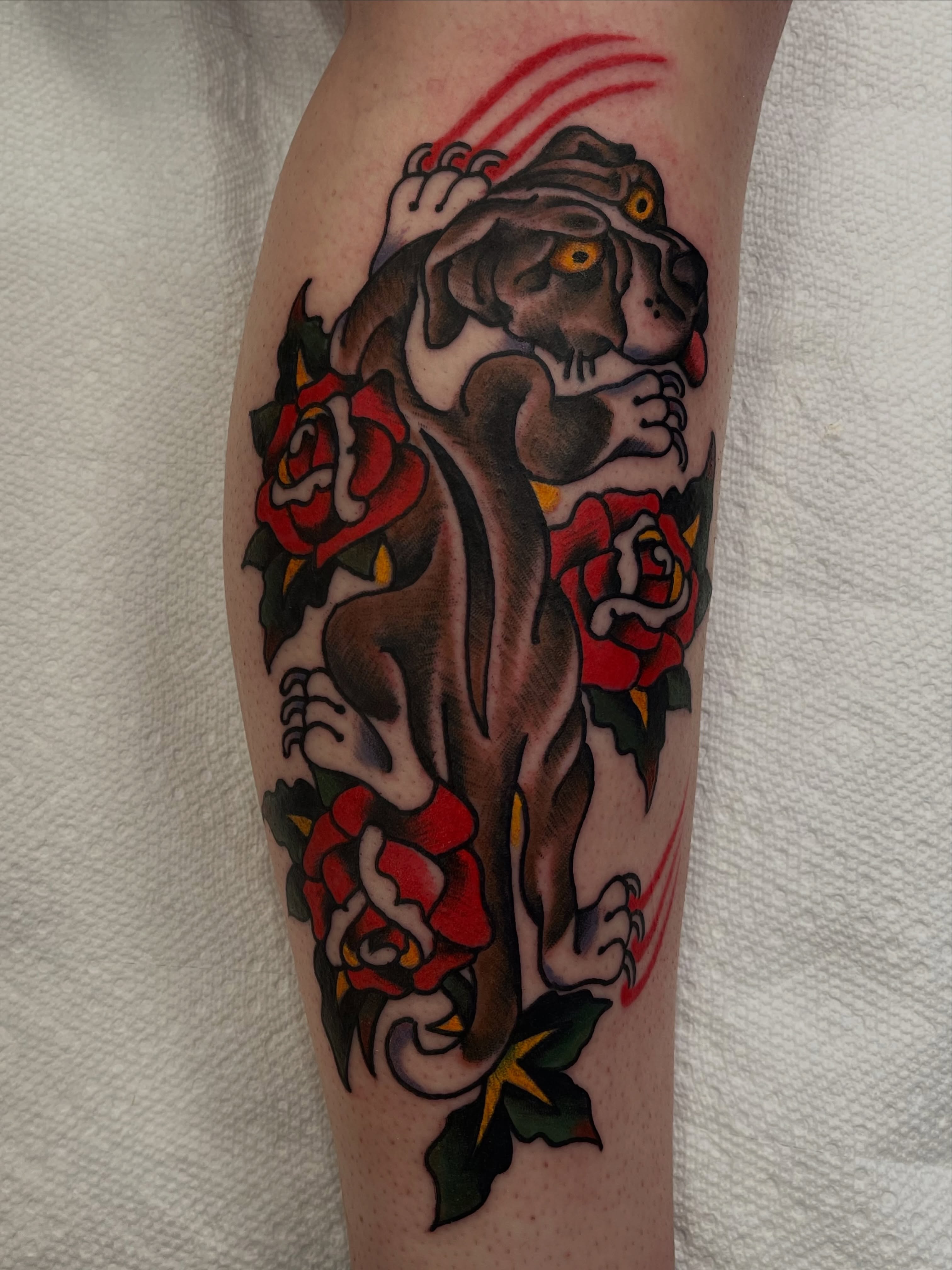 Bulldog and roses American traditional tattoo on the forearm by Alex Garcia - Sac City Tattoo
