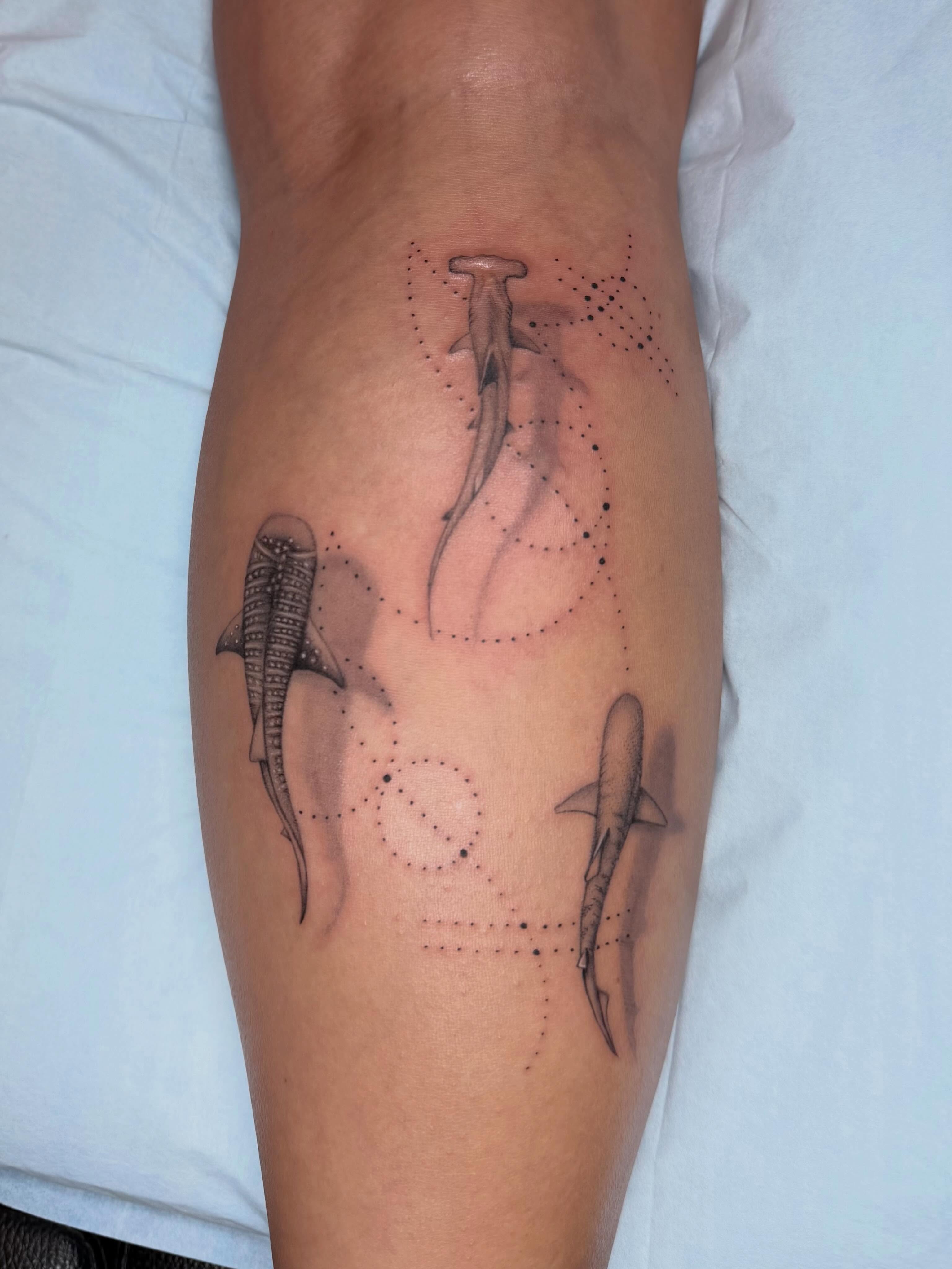 Sharks dotwork tattoo on the forearm by Shelly Elissa Tattoos